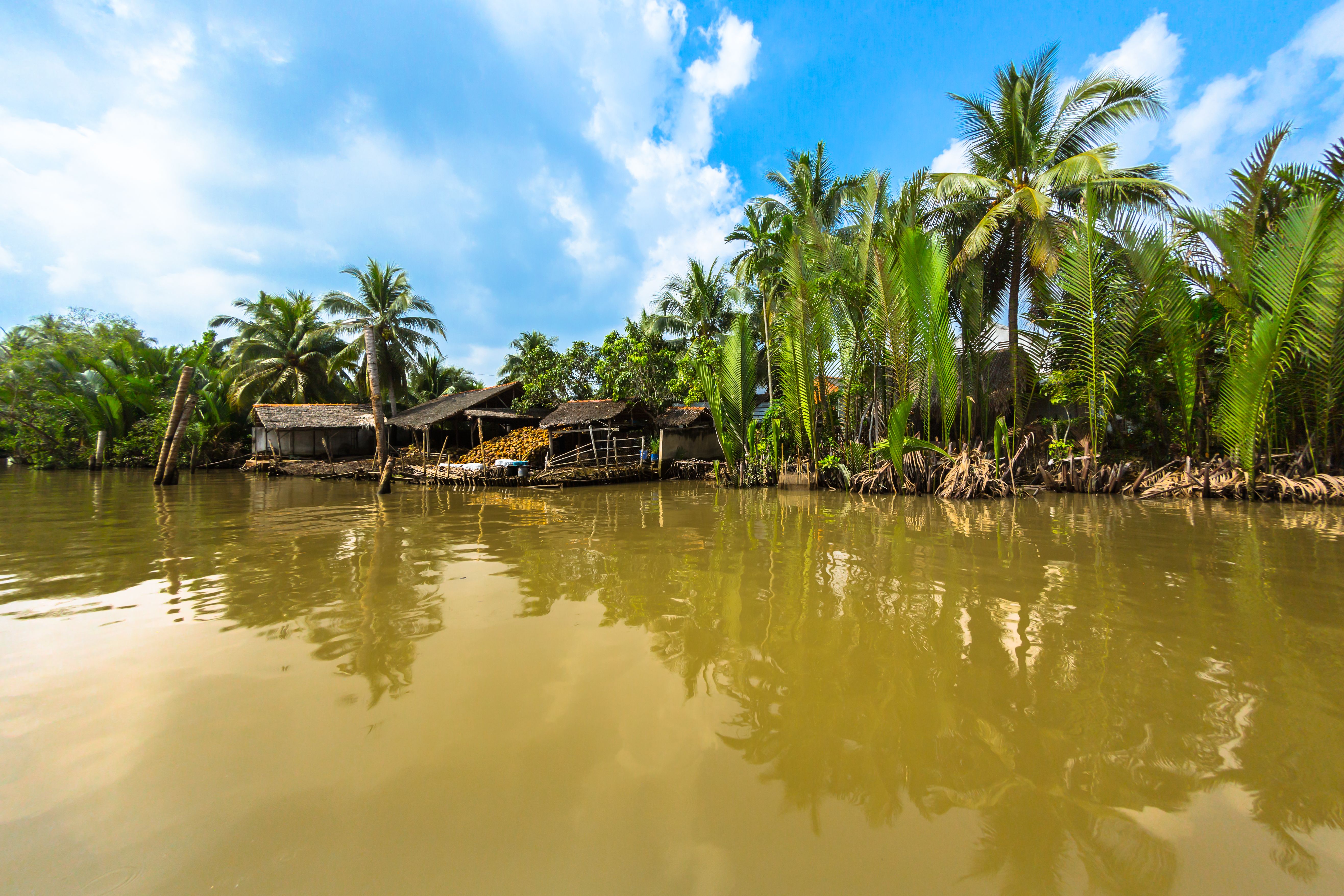 Mekong Delta in Ben Tre Mekong Delta in Ben Tre