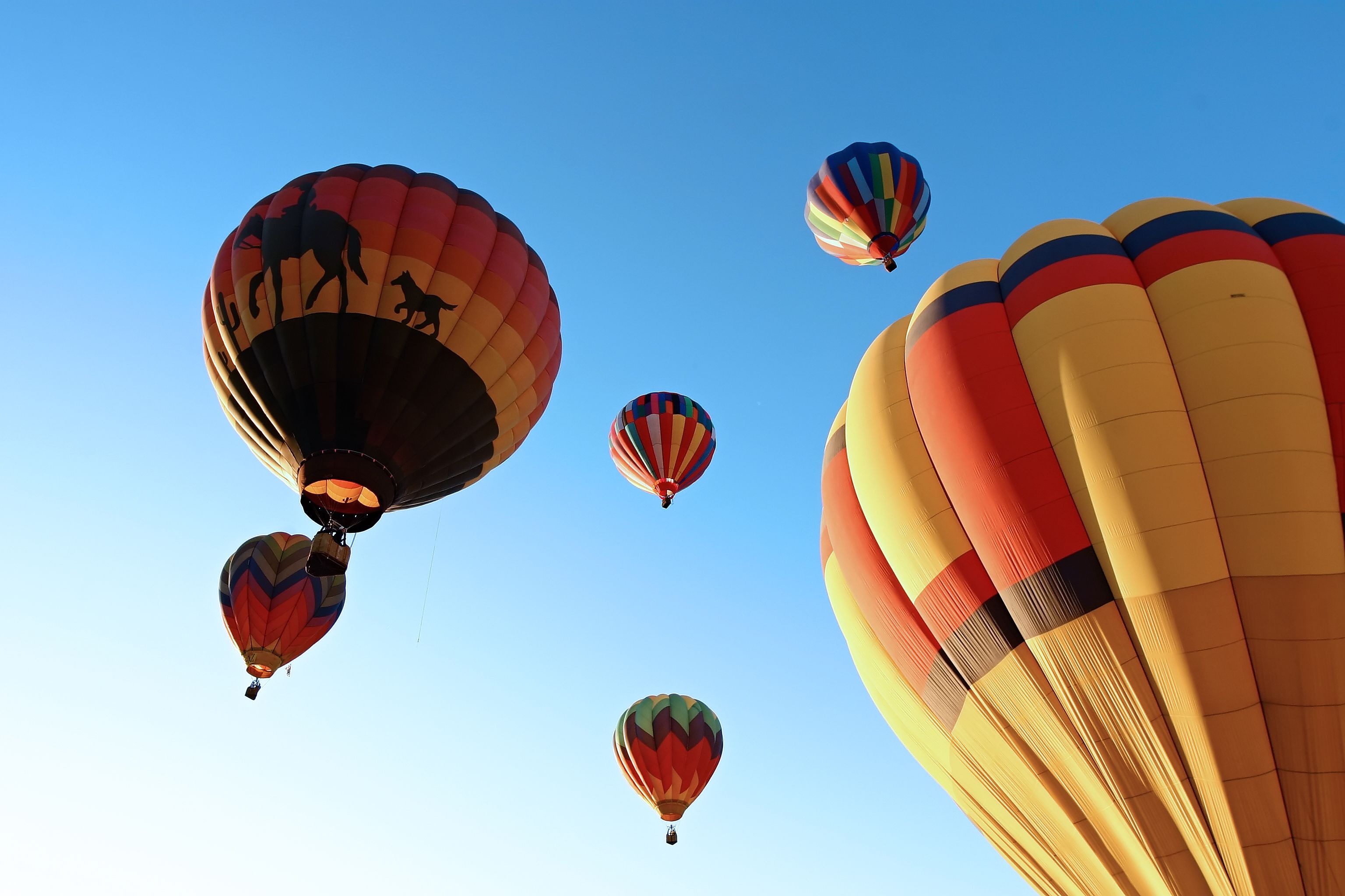 arizona fall festival