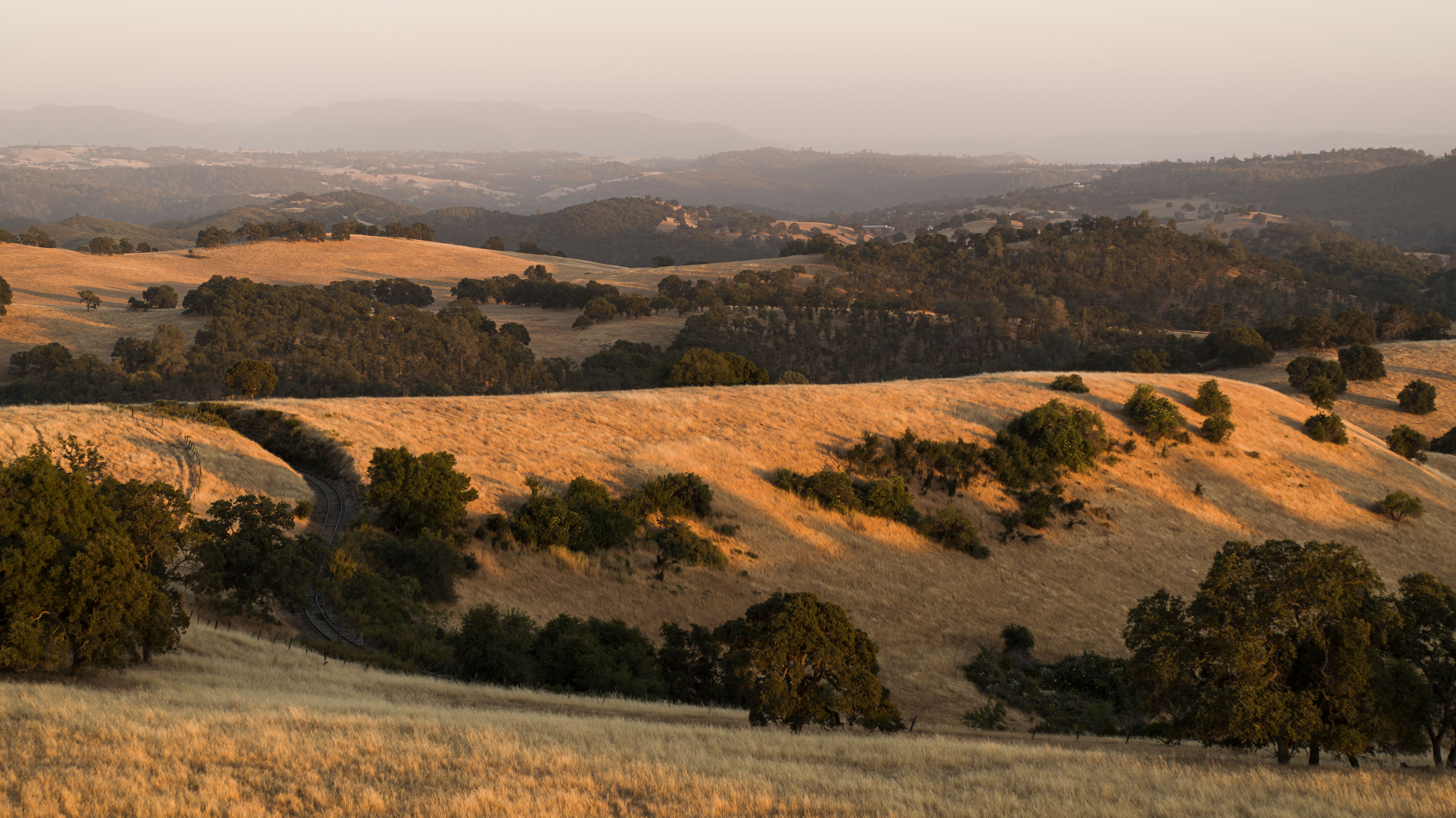 amador county vineyards
