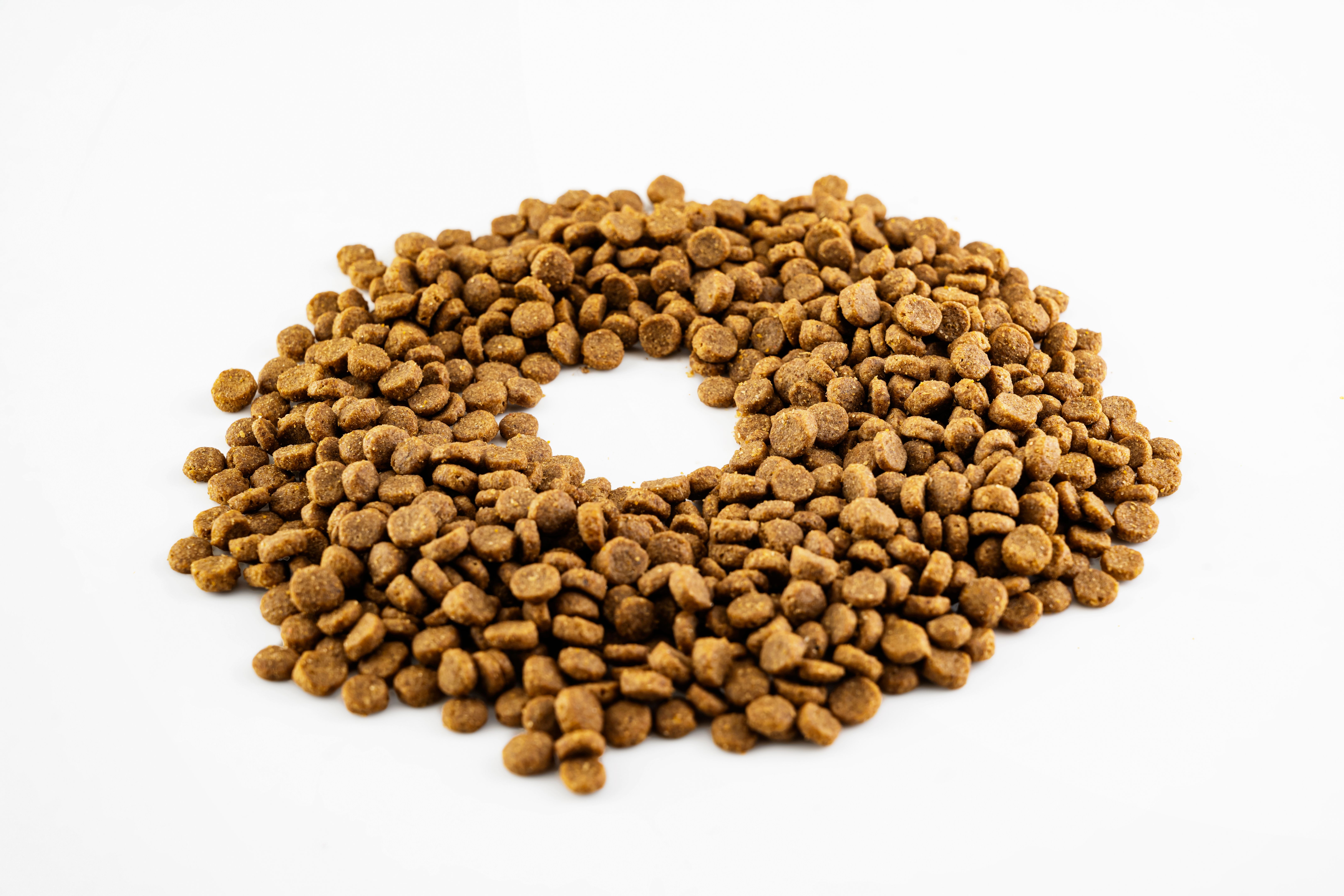healthy pet food