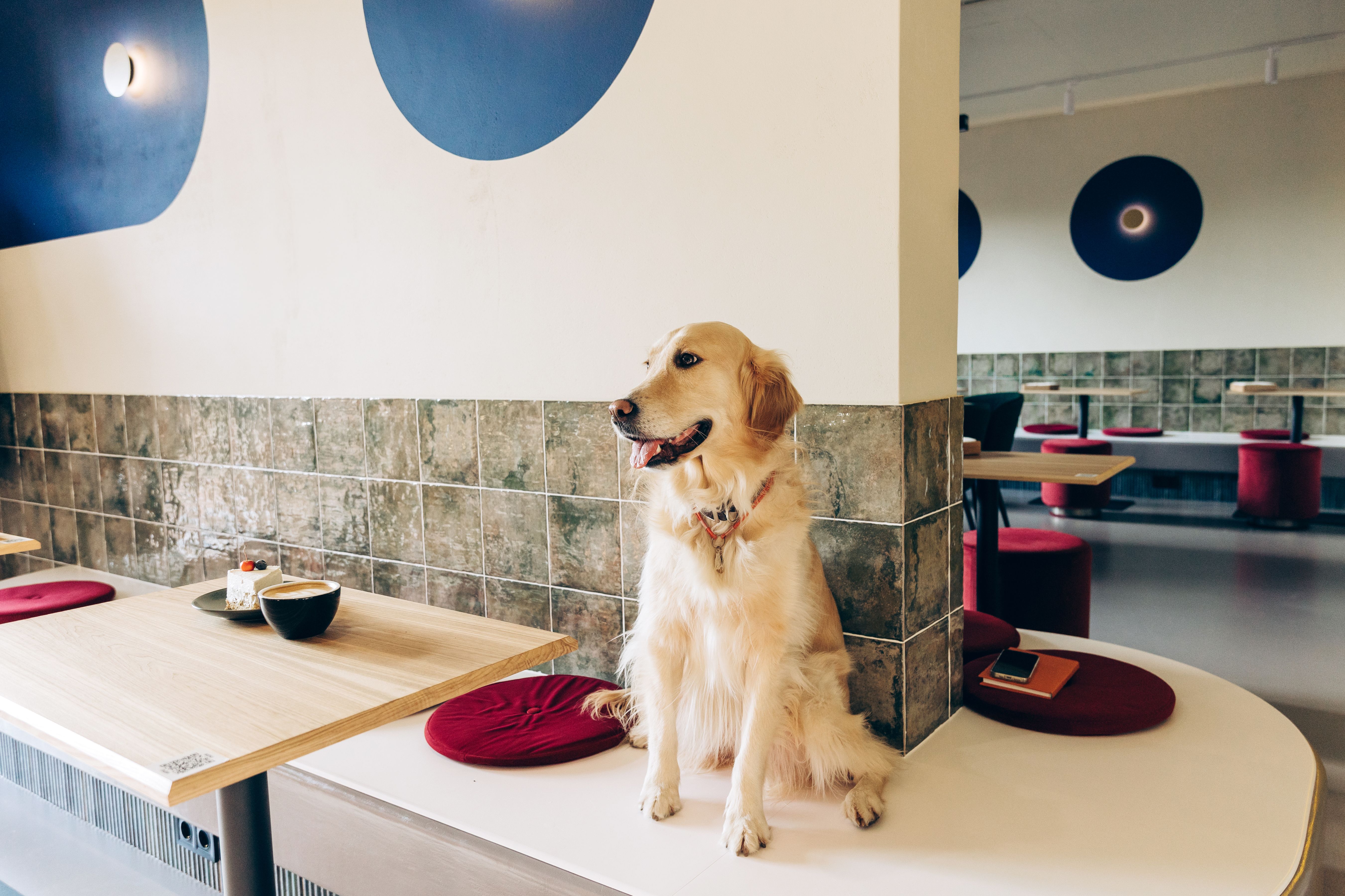 pet-friendly restaurant