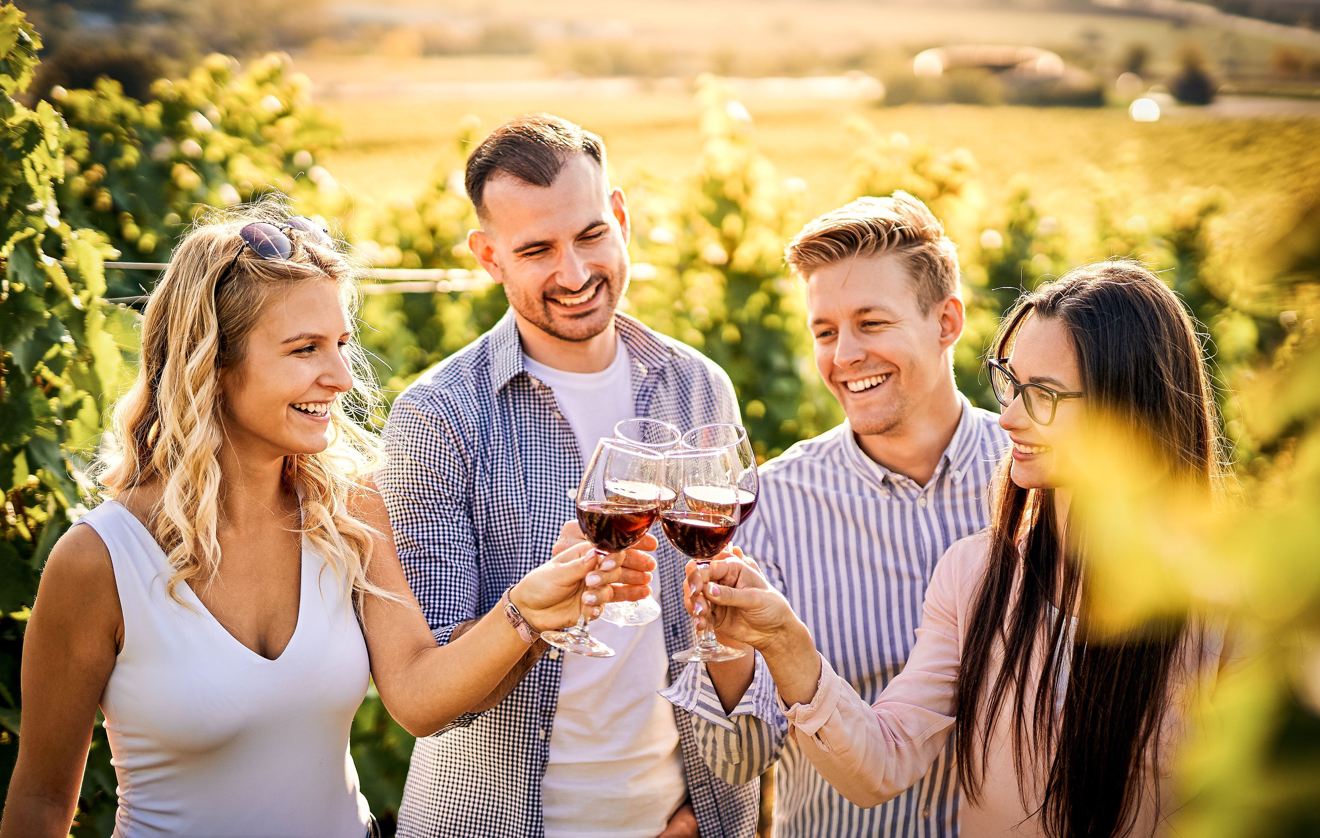vineyard tour