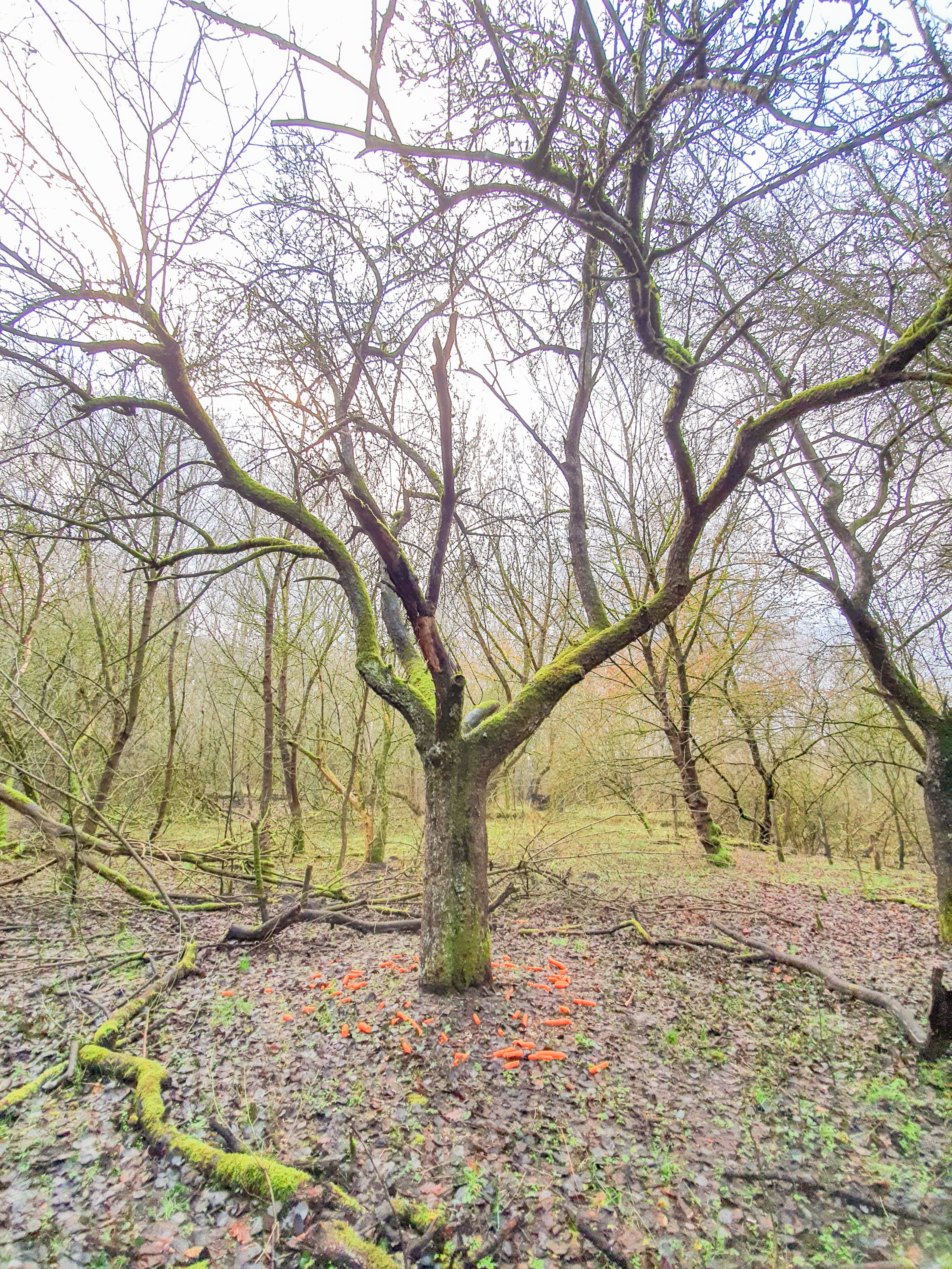 ritual place ritual place