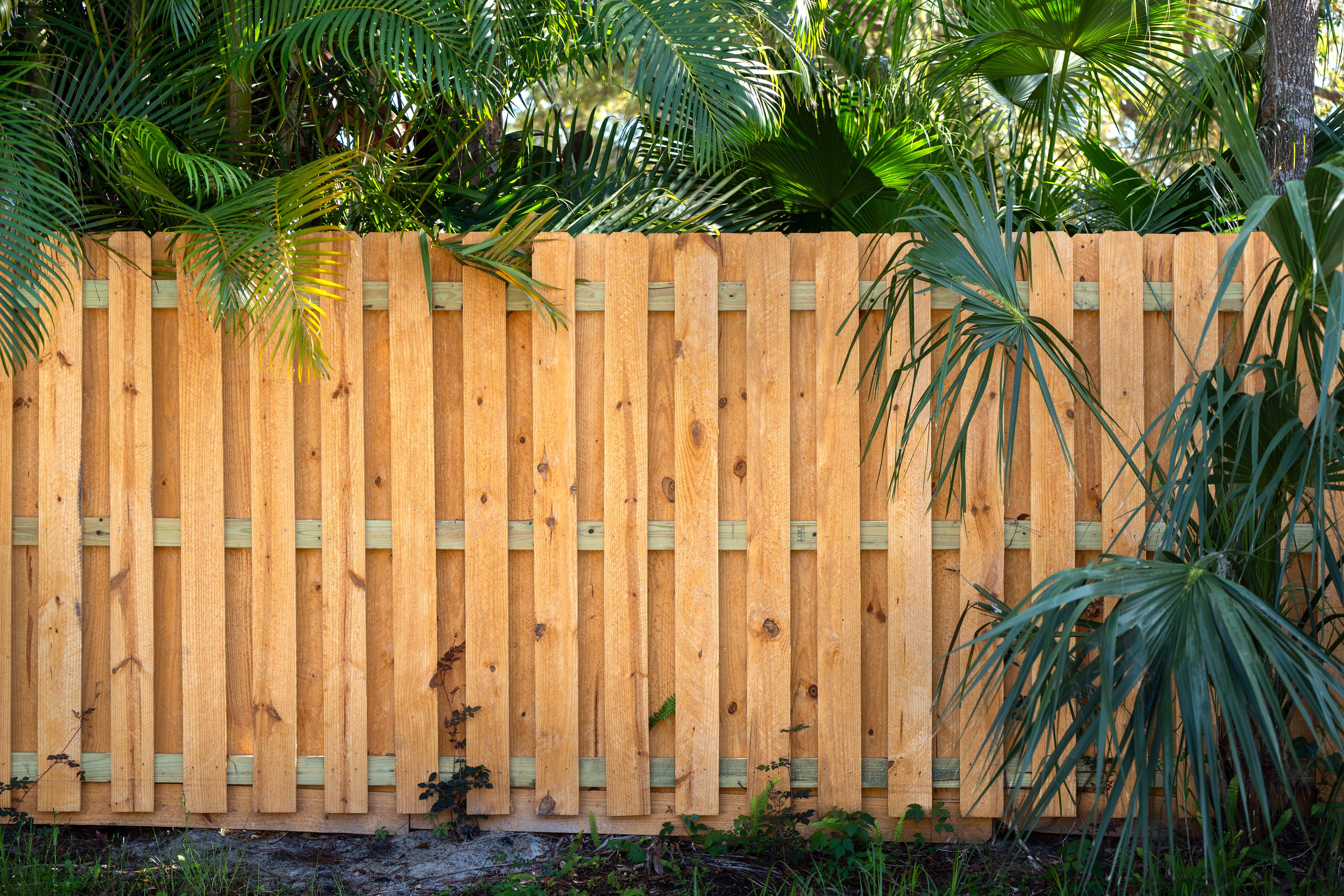 Fence in Florida backyard. Wooden fencing from board planks for grounds protection and privacy