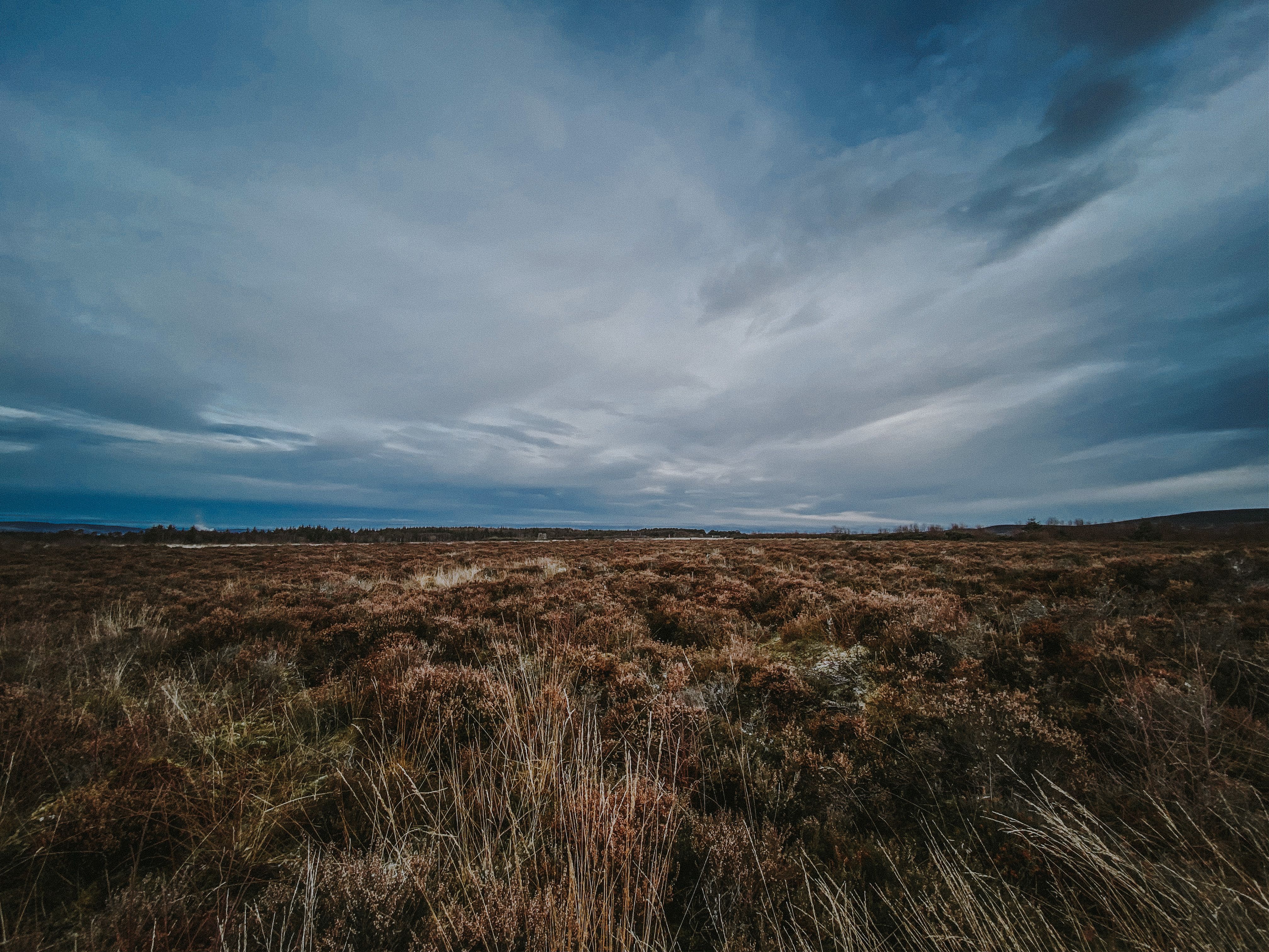 culloden battlefield