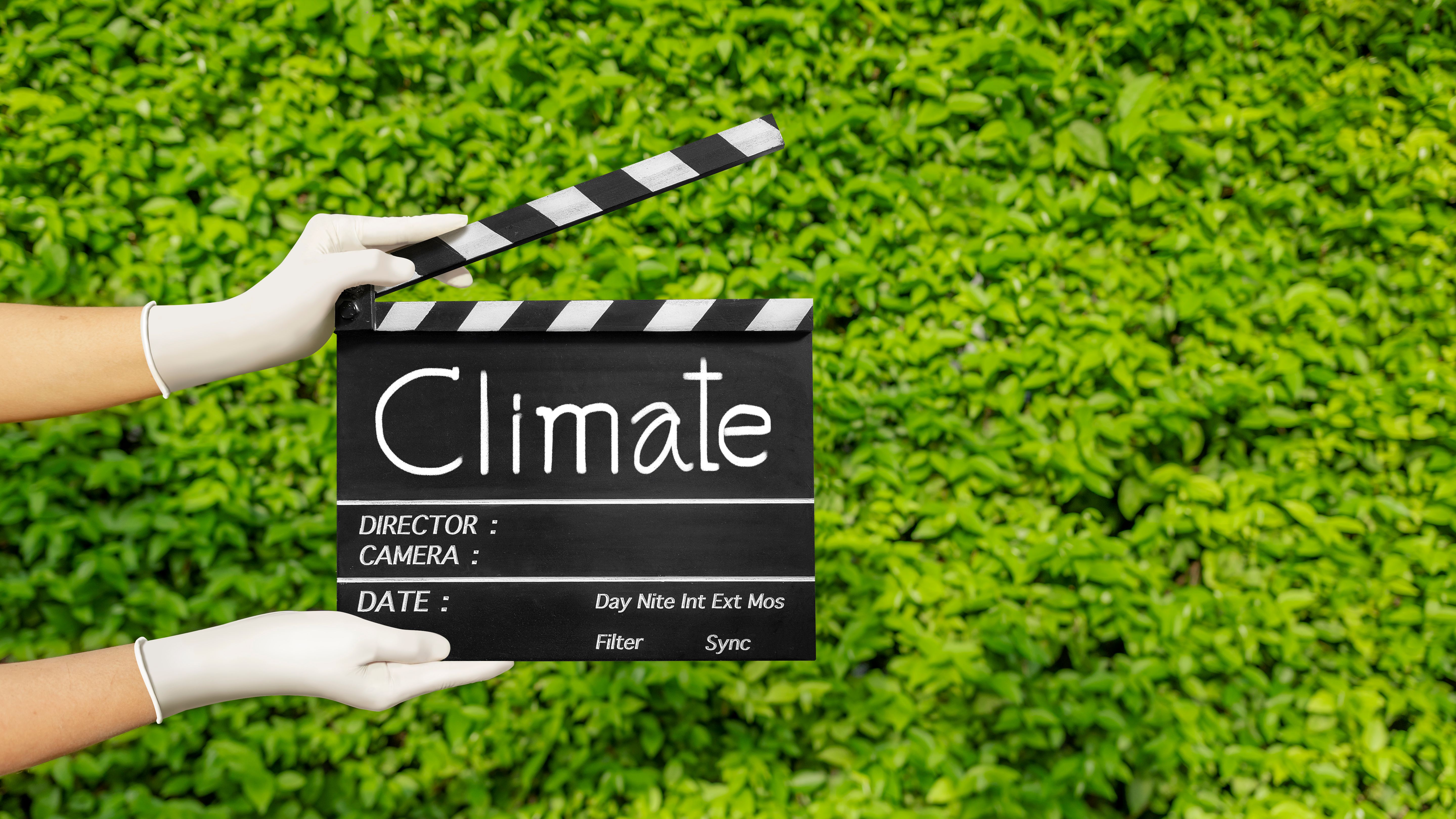 sustainable film