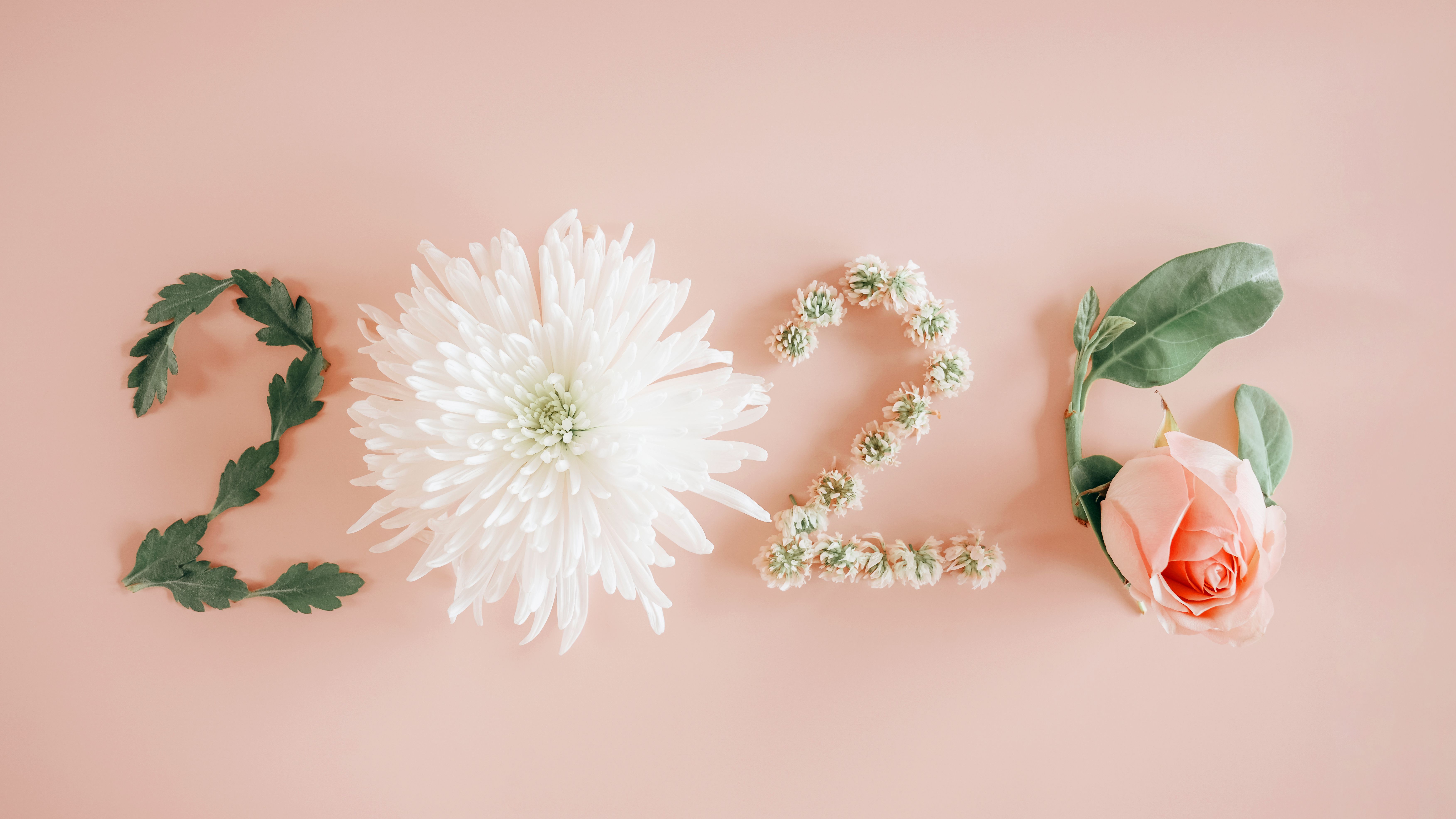 2026 made from natural plants, leaves and flowers, Happy New Year wellness and healthy lifestyle resolutions, holidays retreat concept