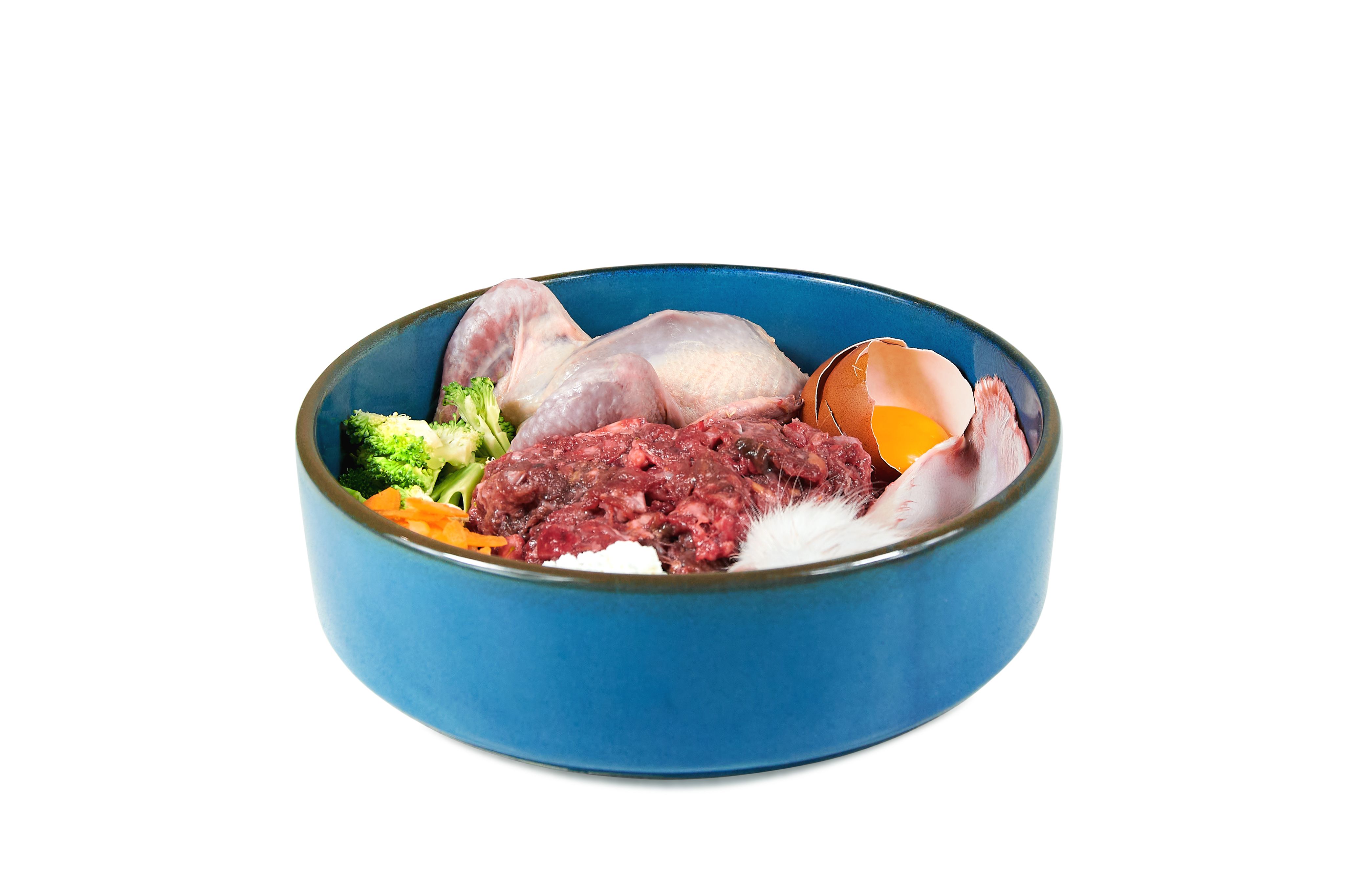 raw pet food