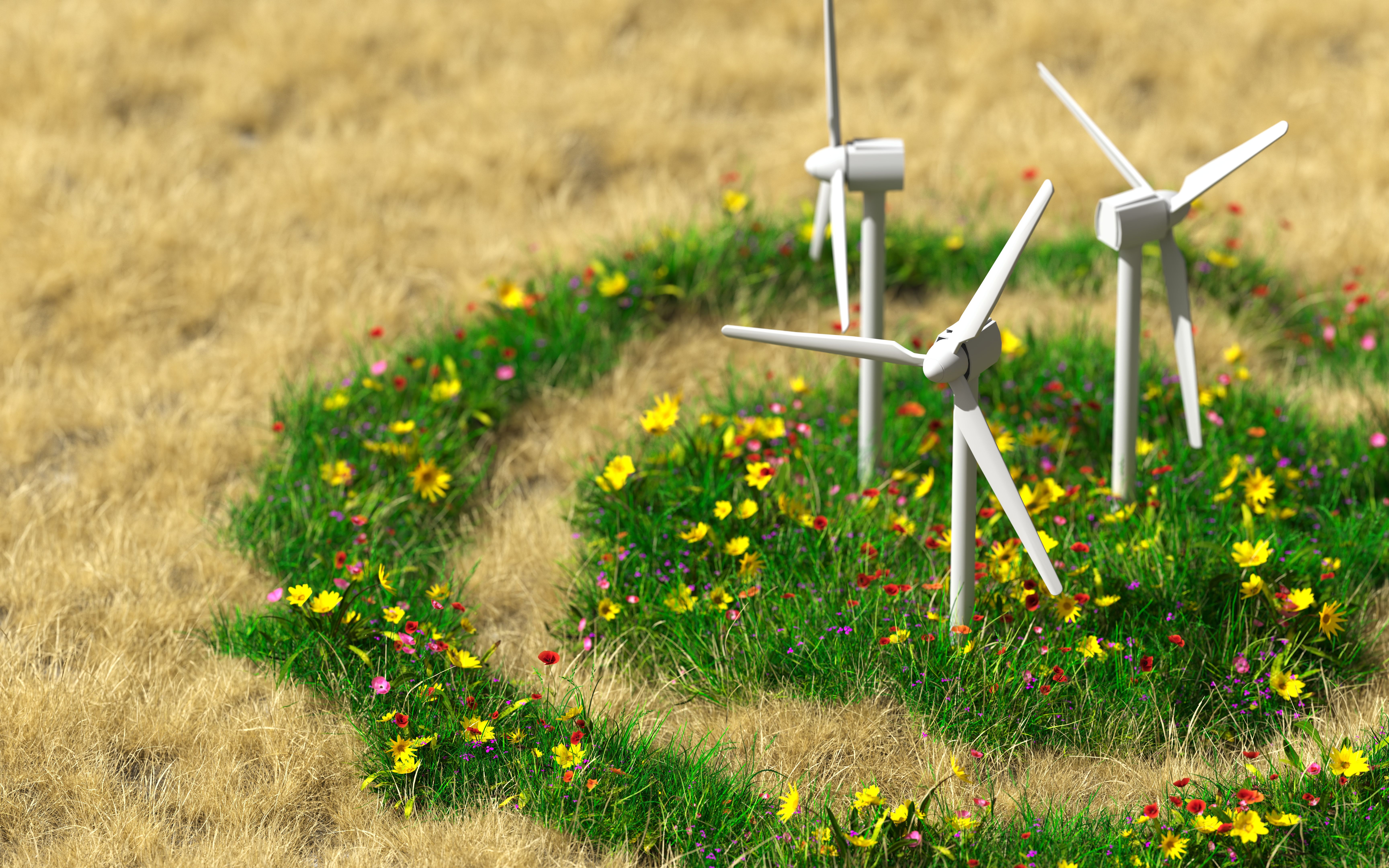 sustainable landscape