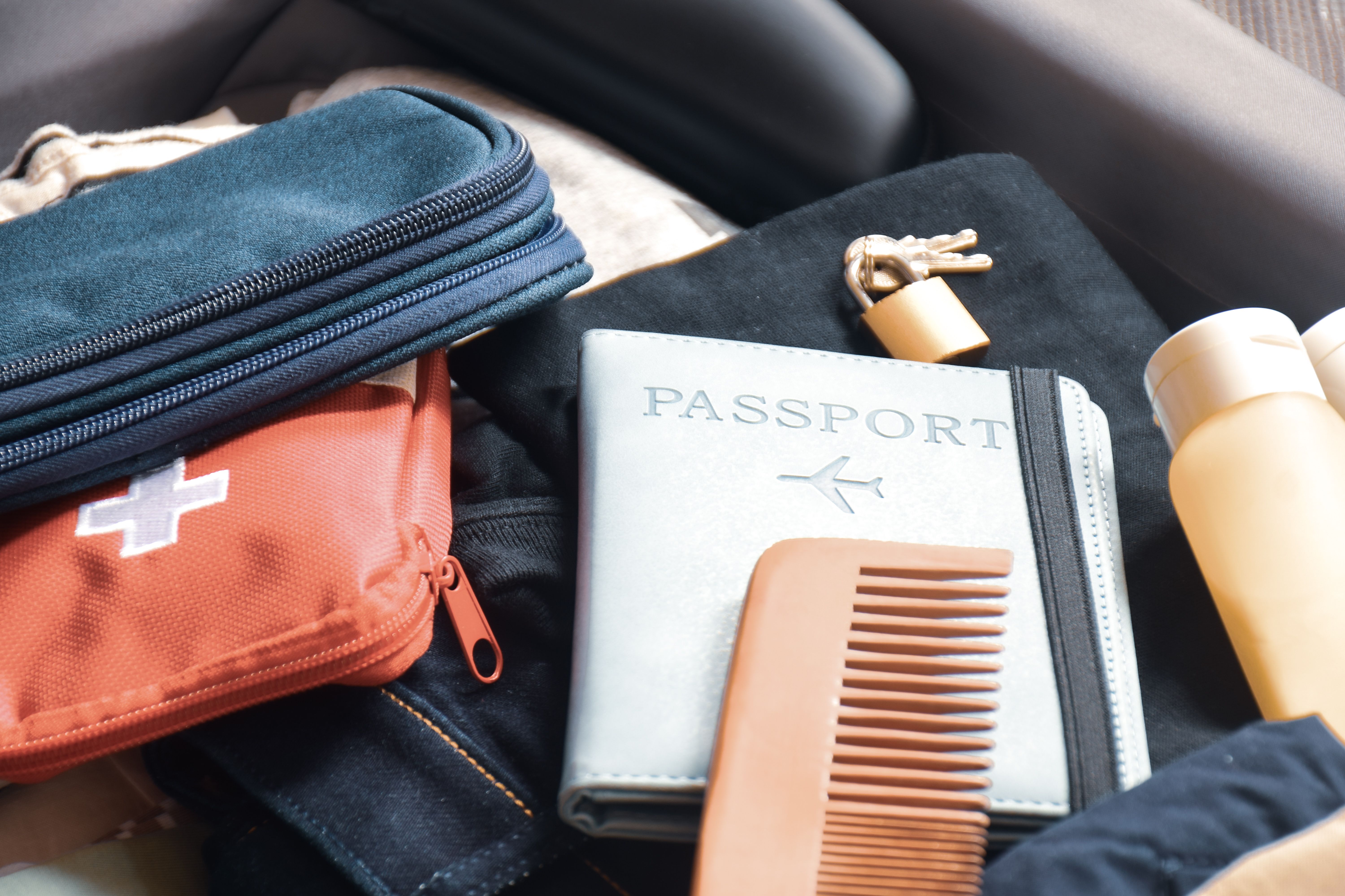 travel security items