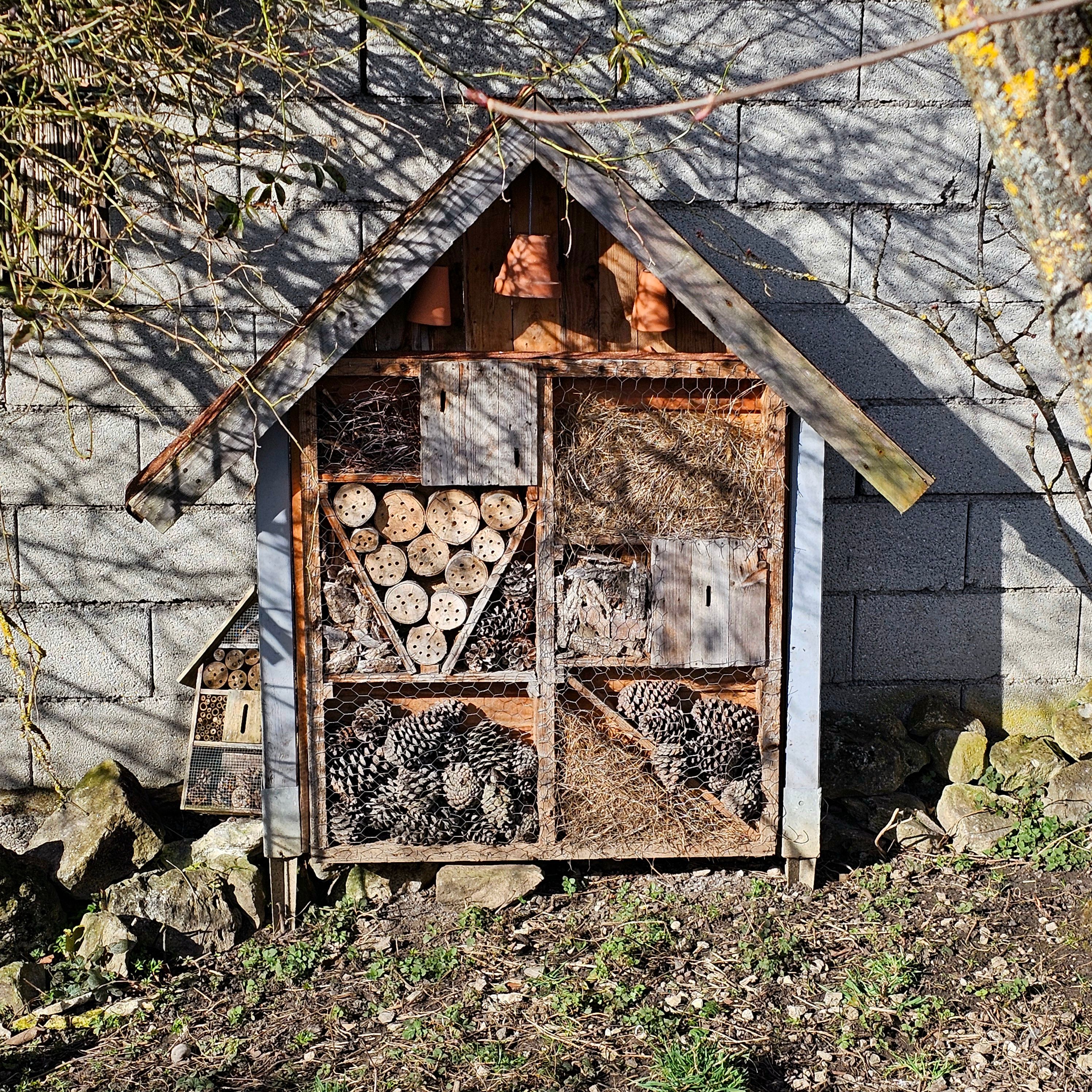 eco friendly lodging