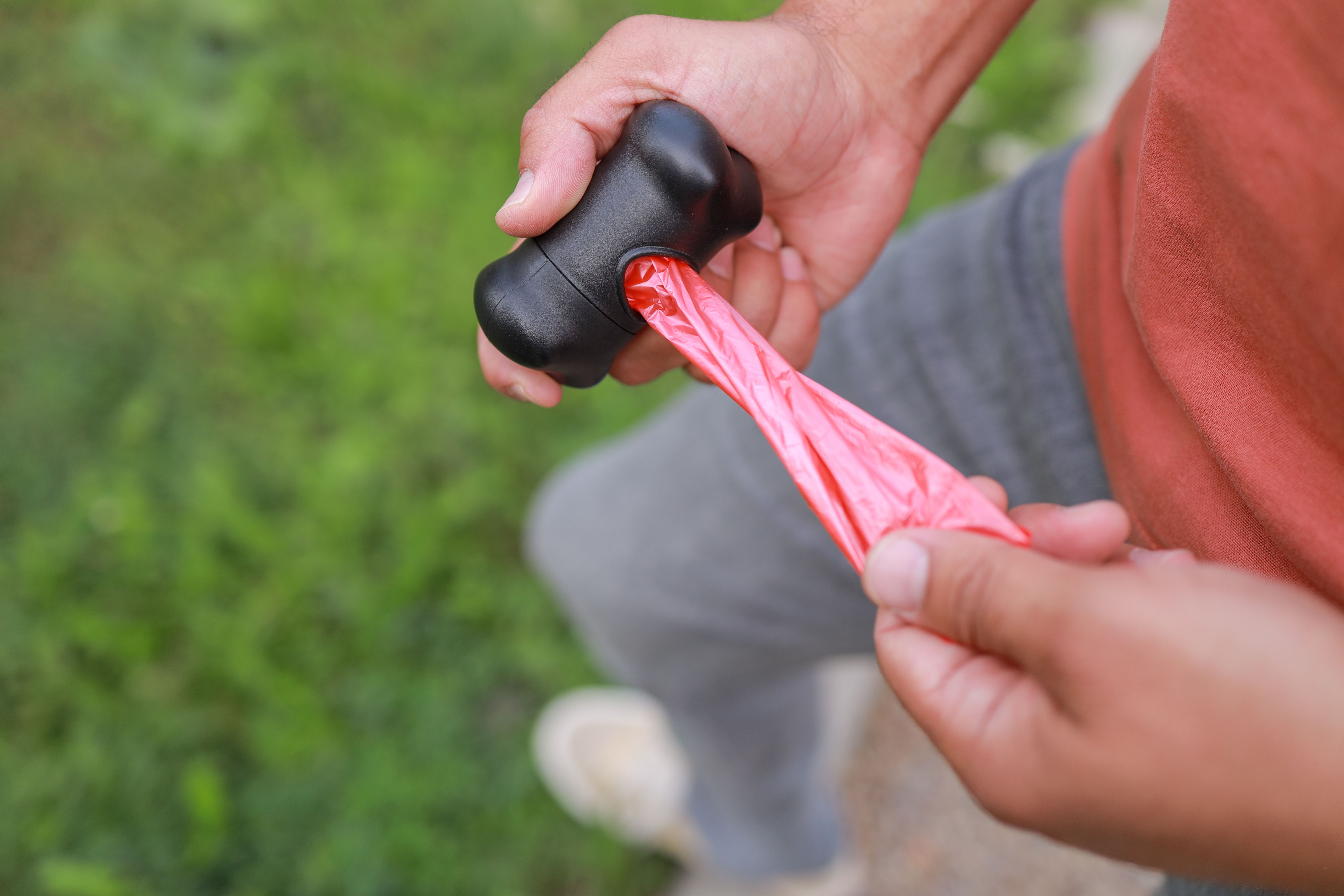 sustainable dog gear