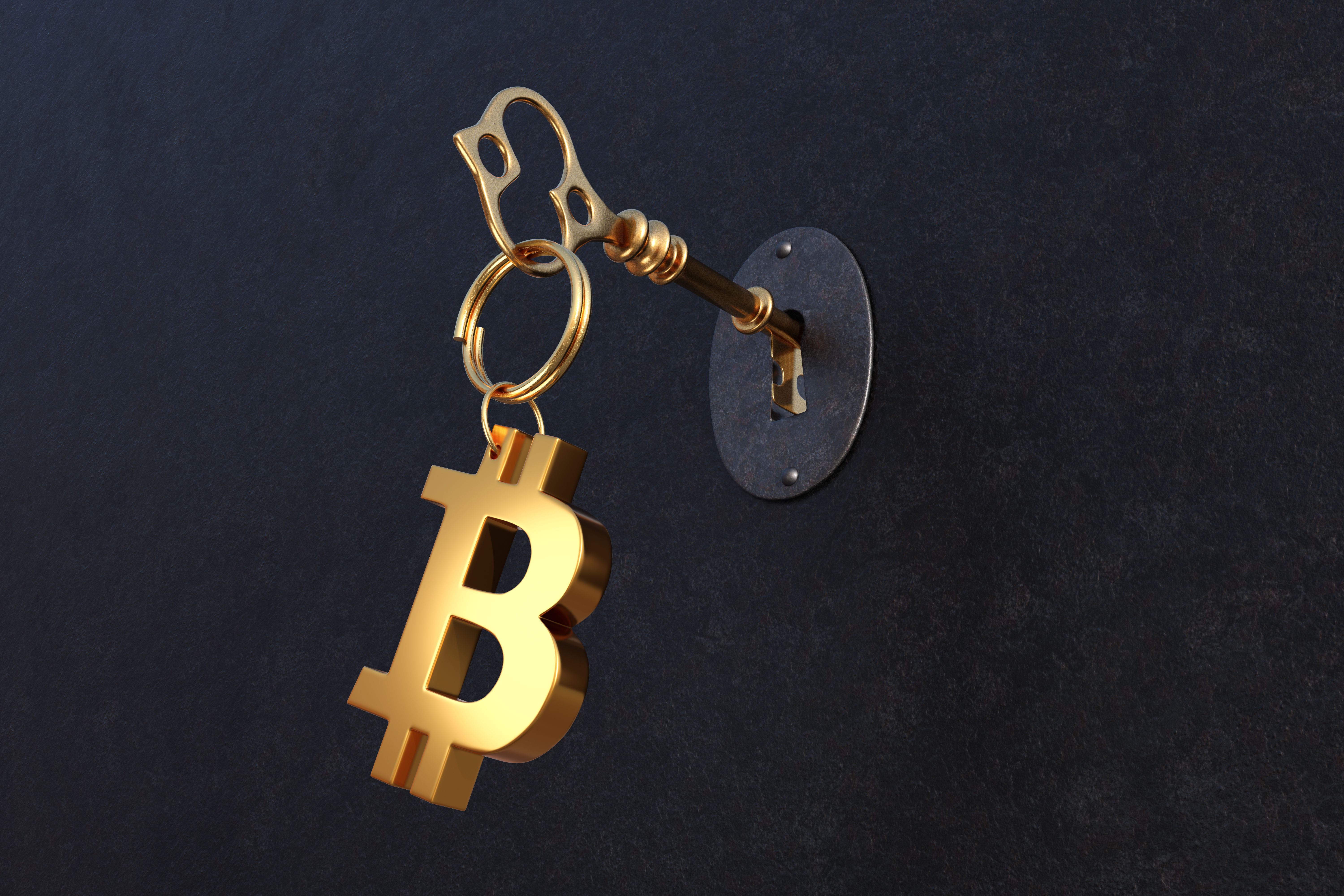 bitcoin skills