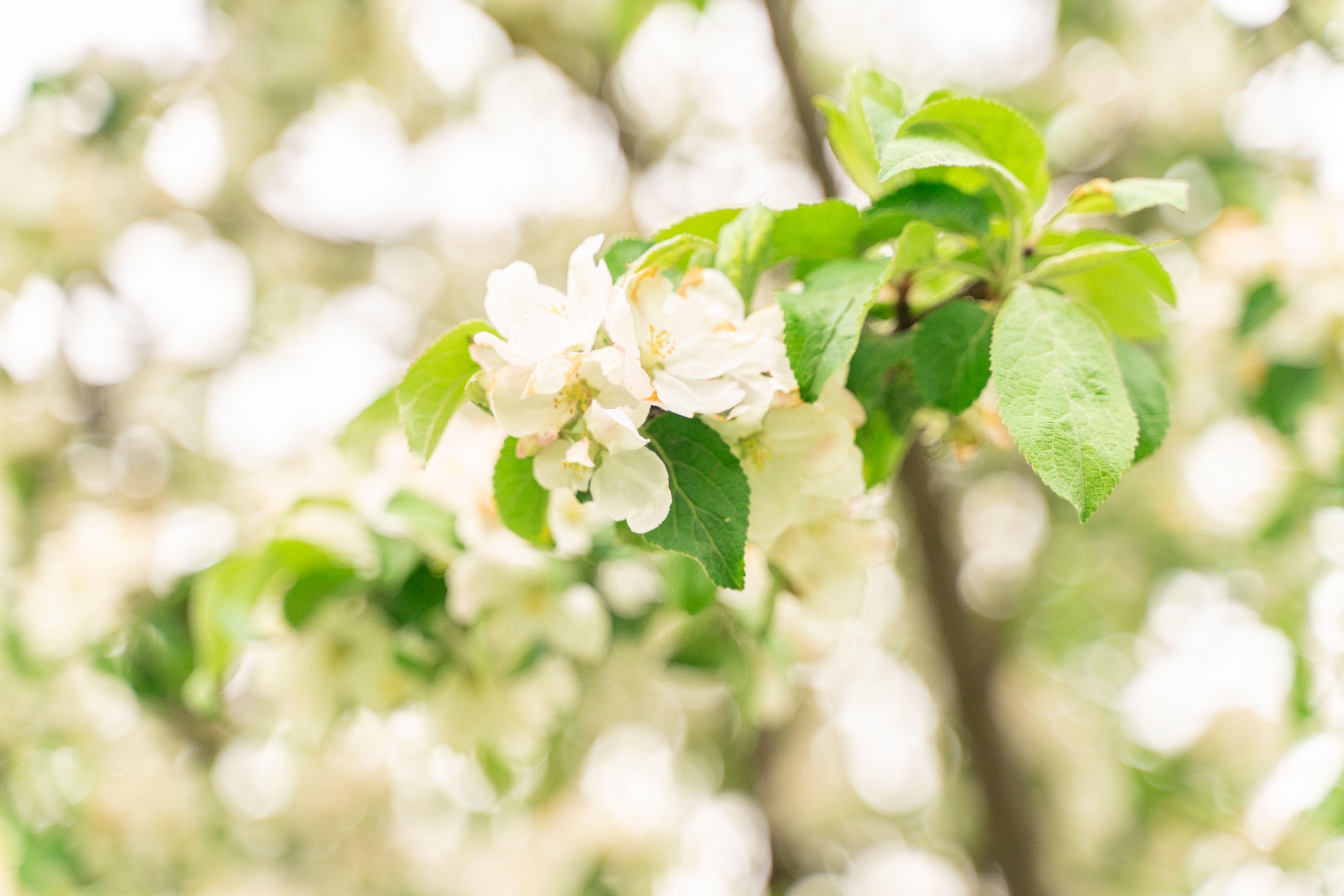 west yorkshire therapy