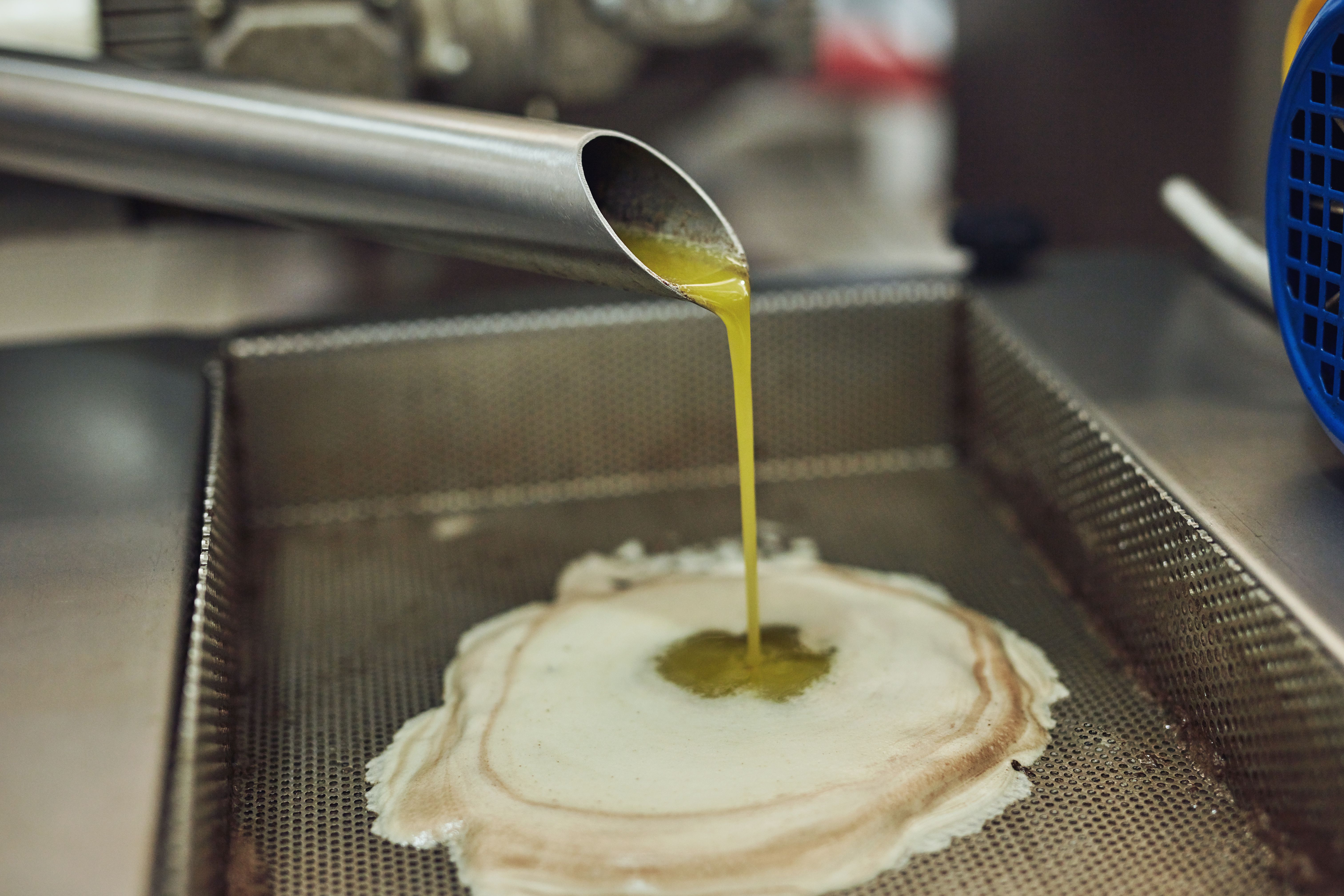 olive oil extraction