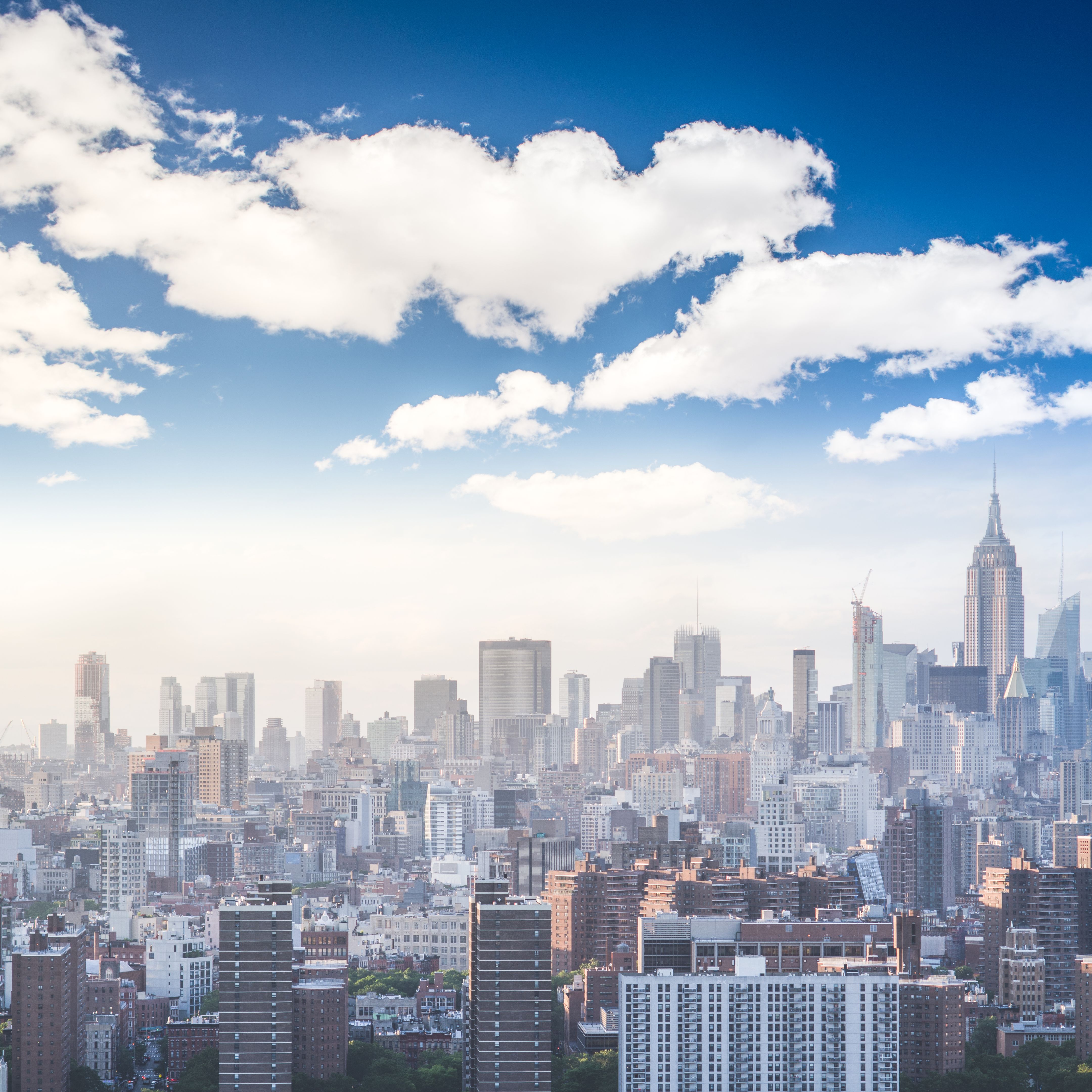 brooklyn digital marketing