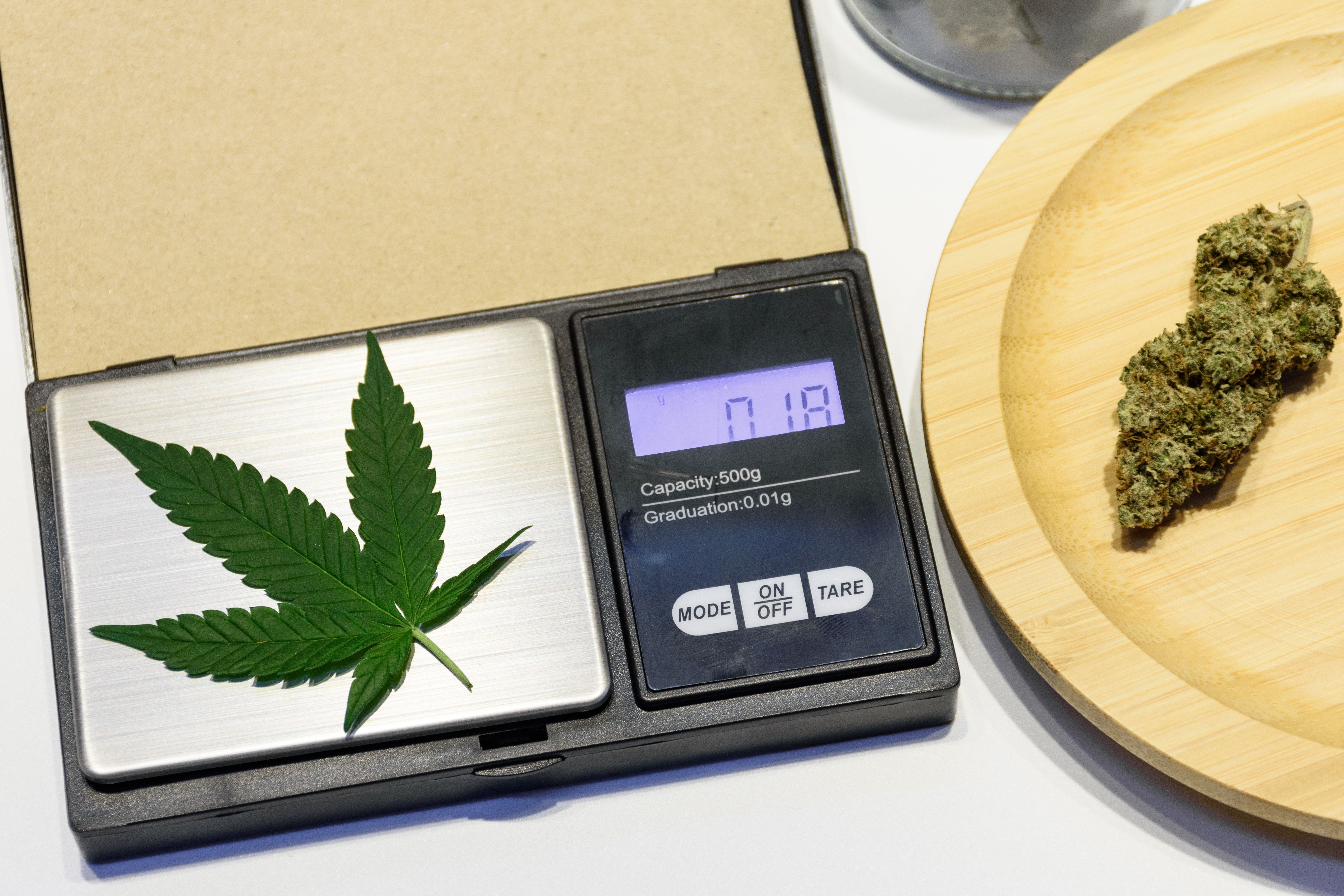 cannabis market research