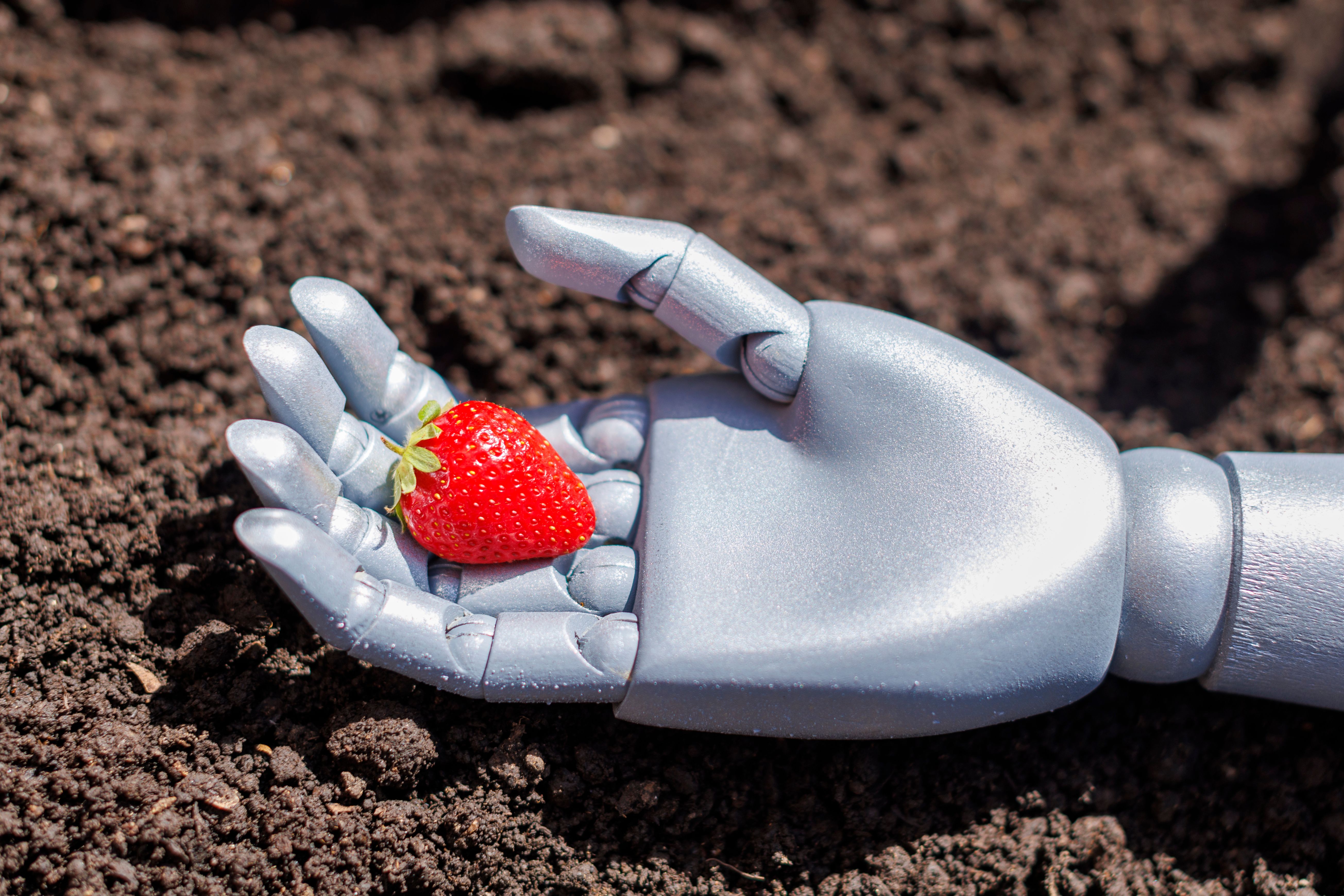 fruit picking robot