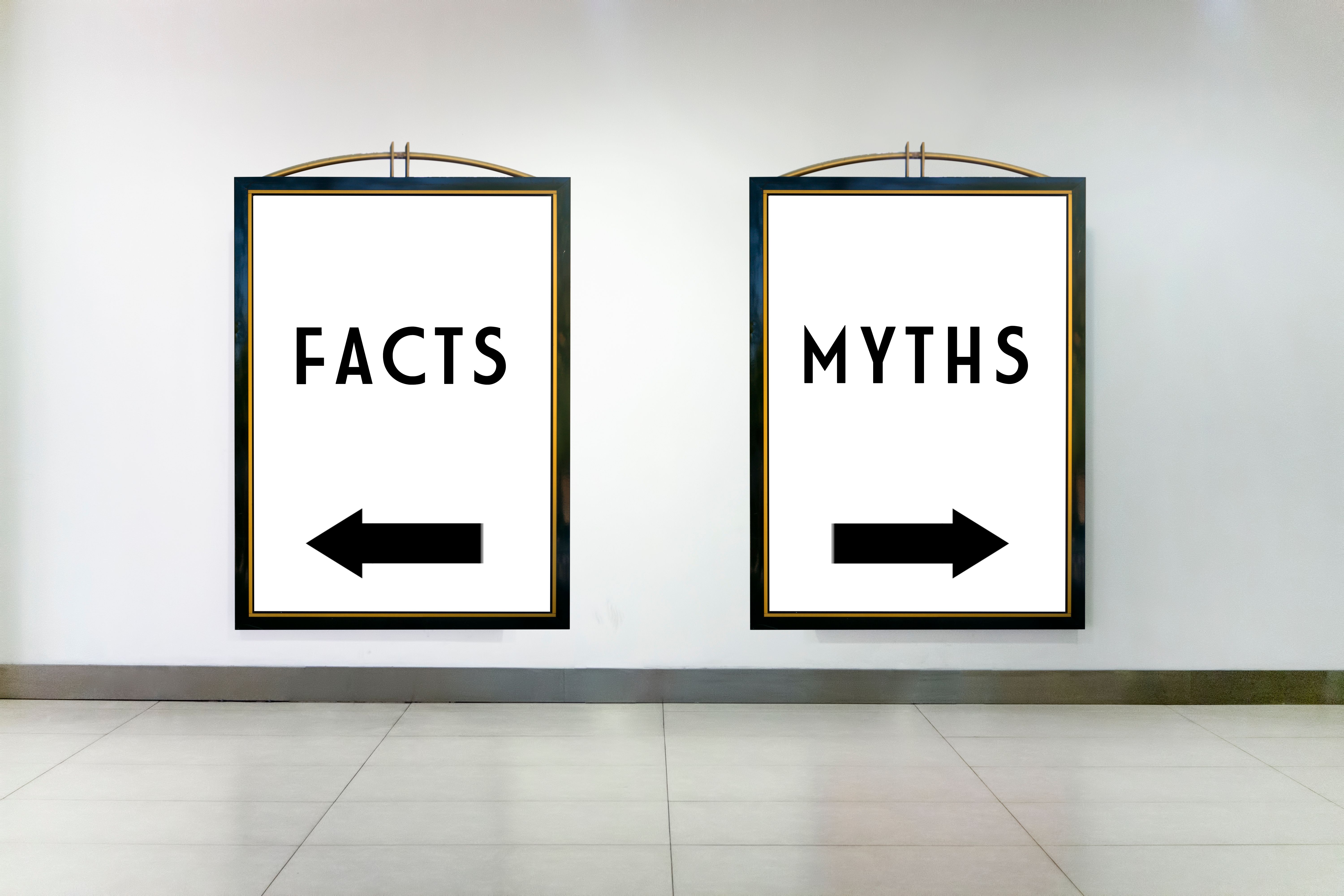 marketing myths