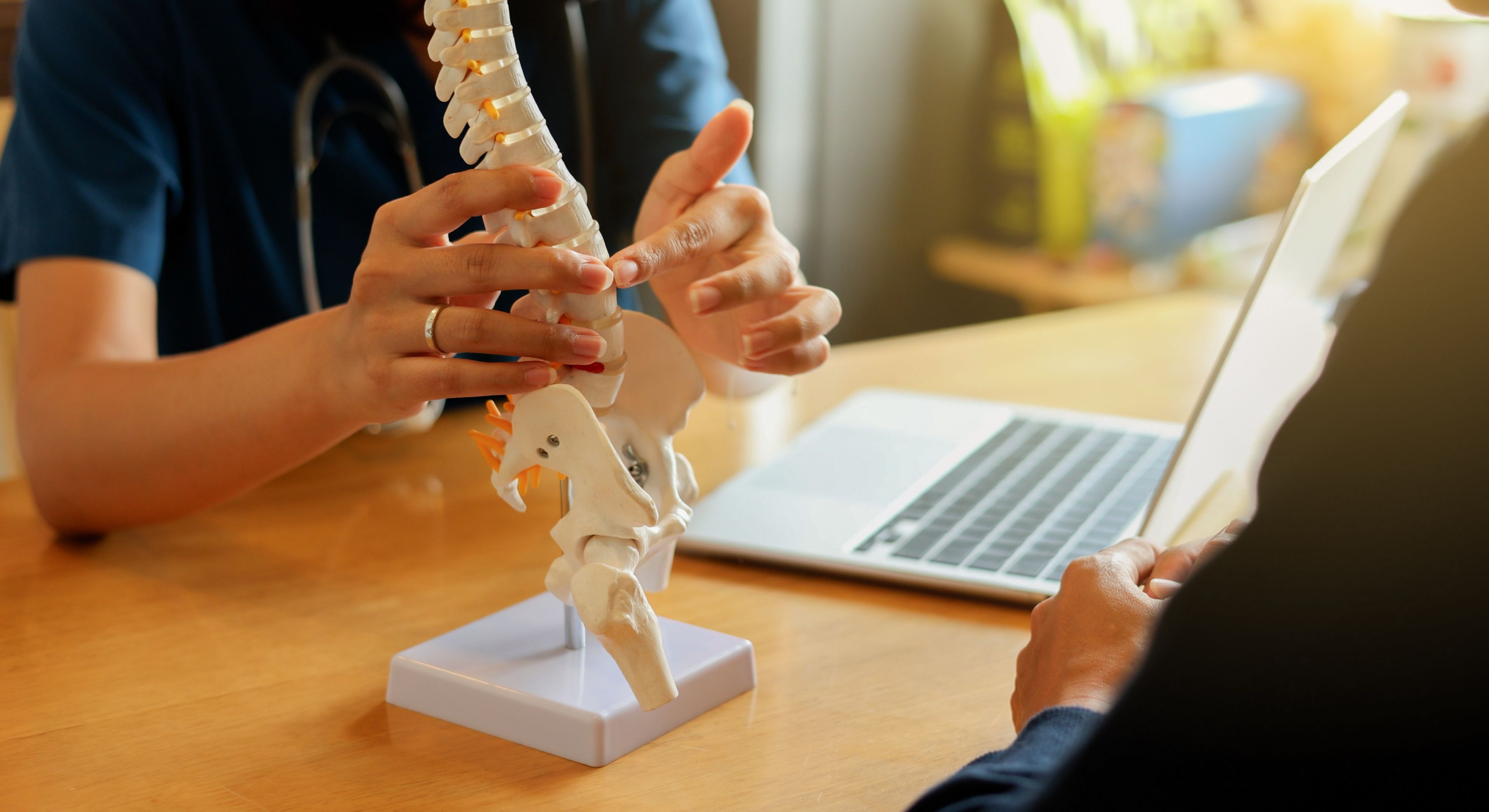 close up physical therapist hand pointing on human skeleton at middle back to advise and consult to patient to treatment at office for healthcare and telemedicine concept
