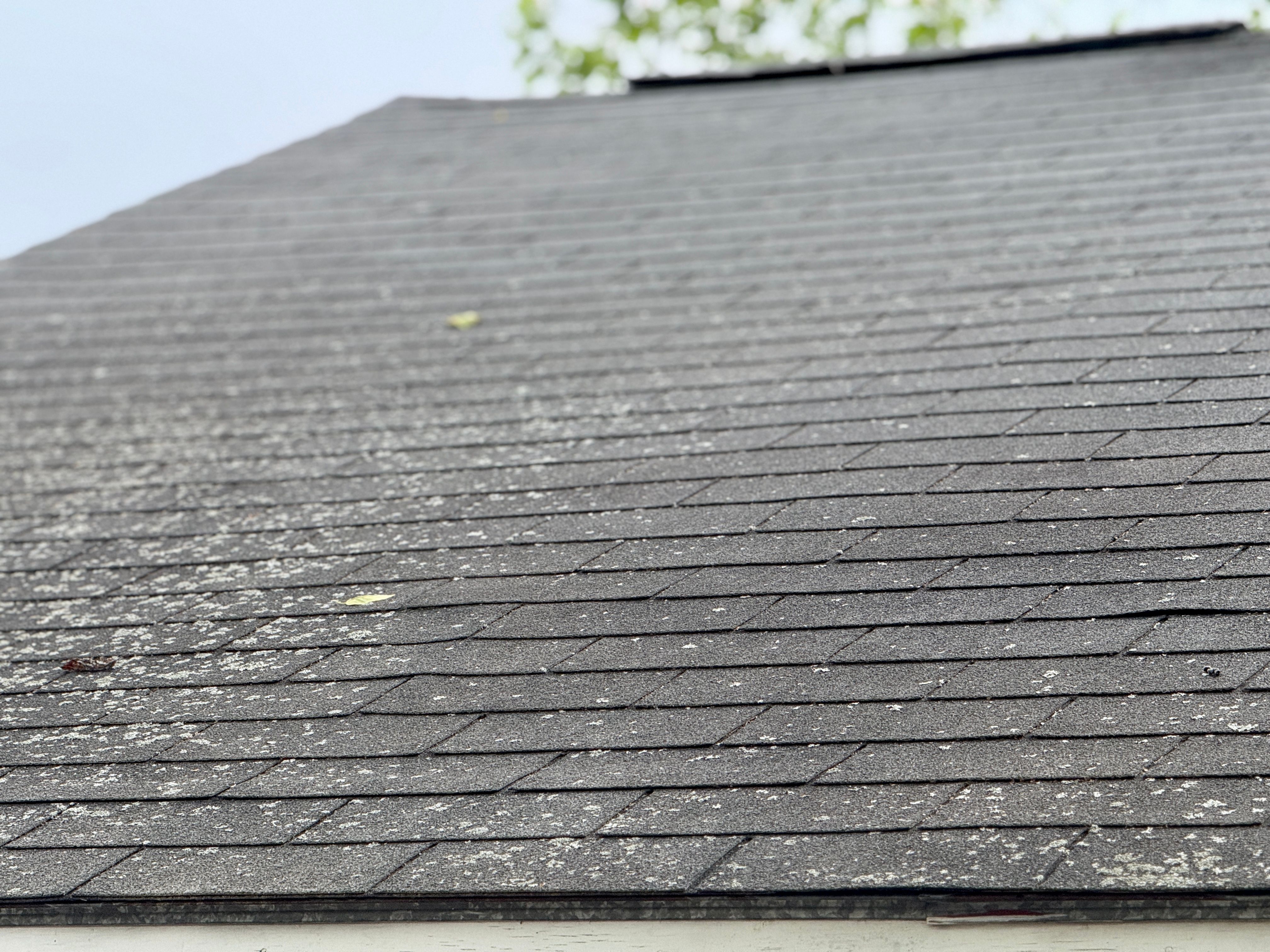 wood shingles