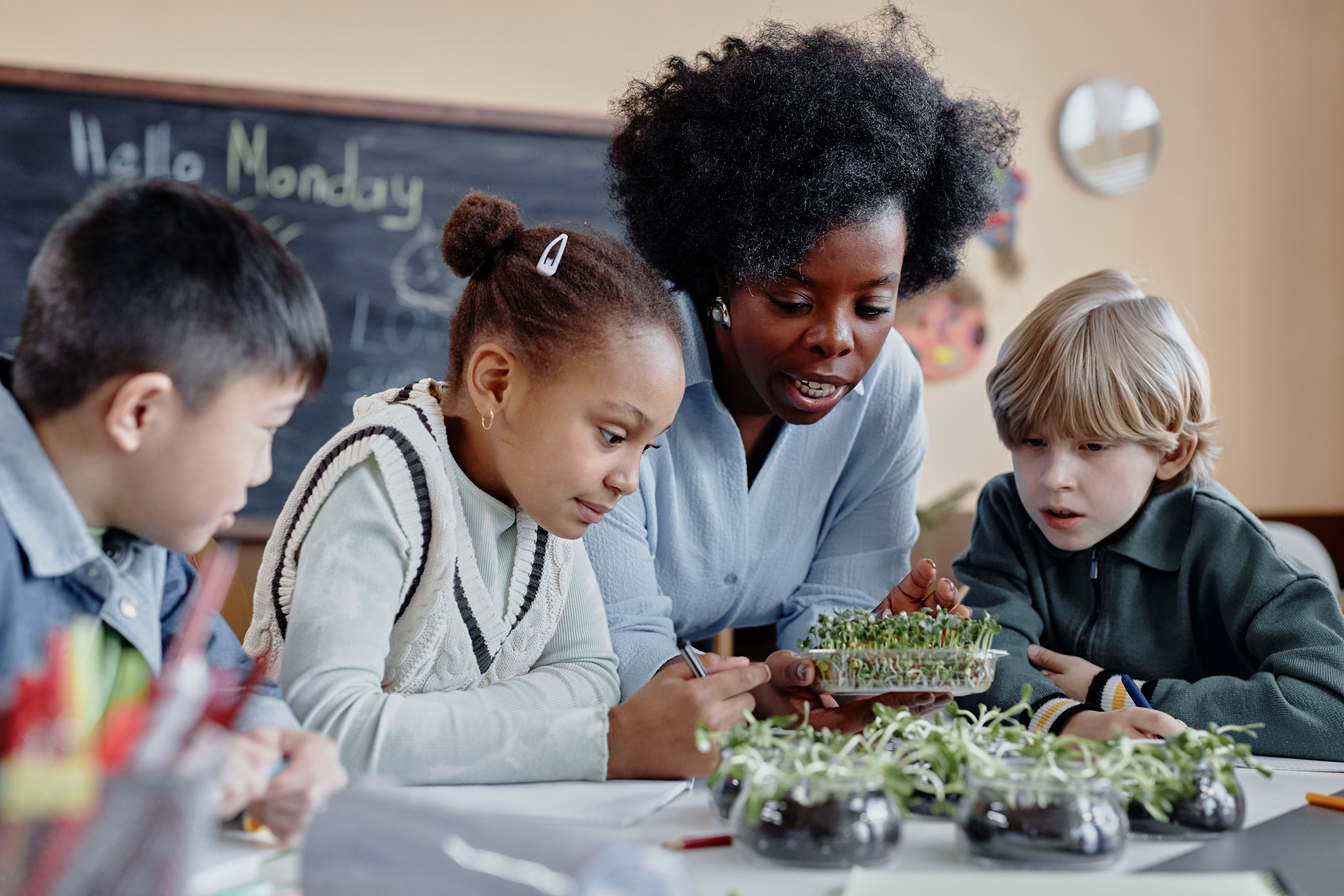 learning environment