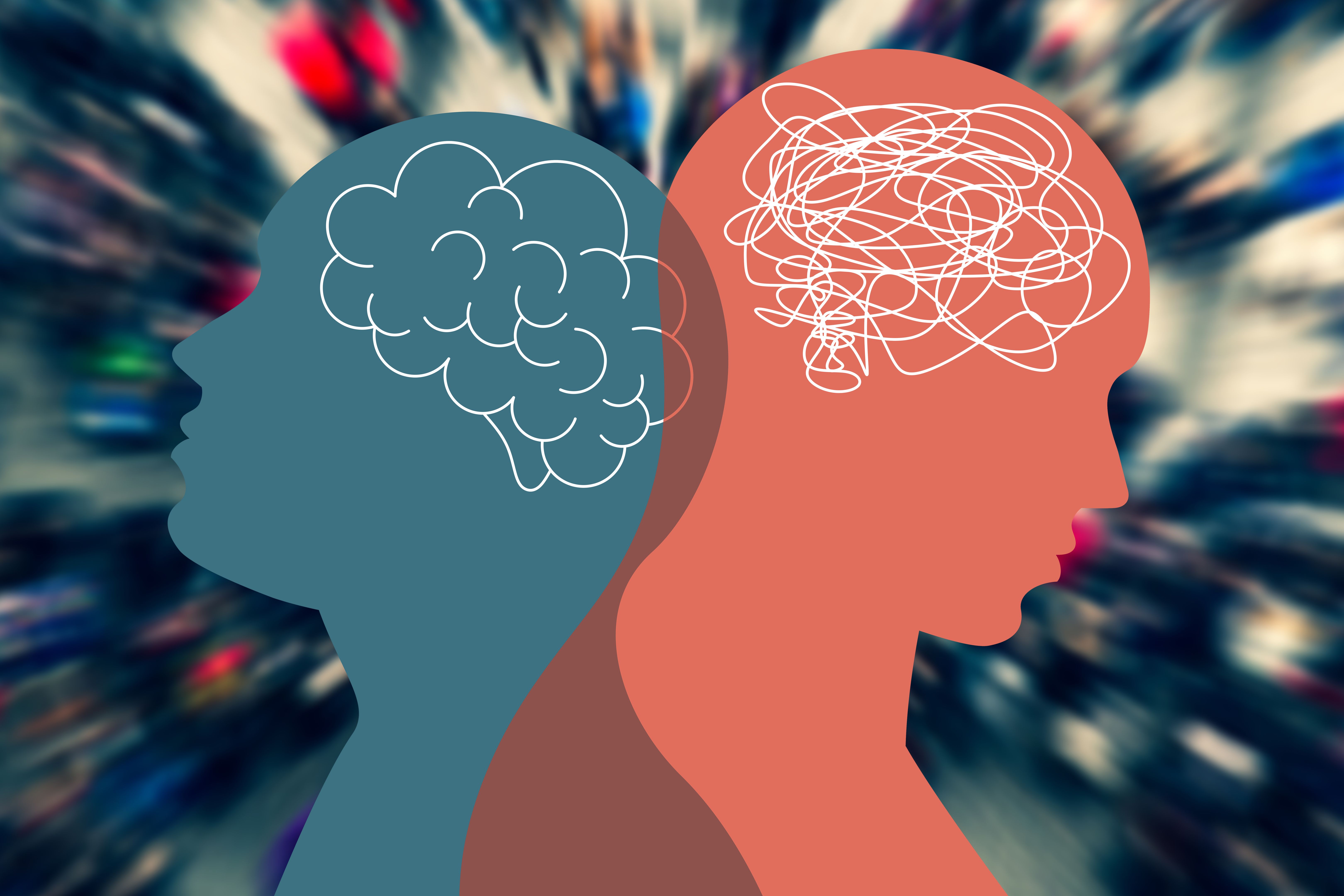 Metaphor bipolar disorder mind mental