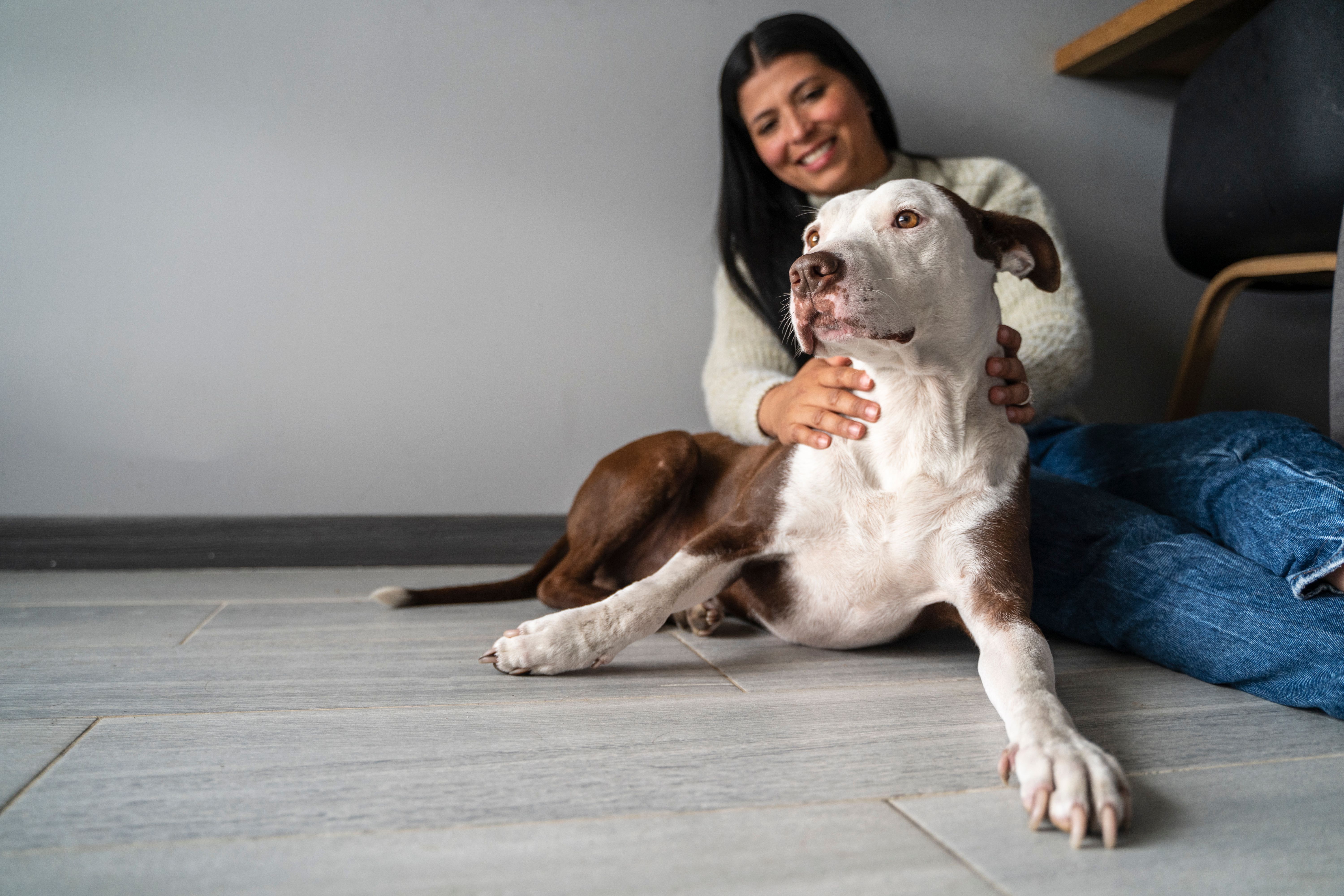 community pet owners