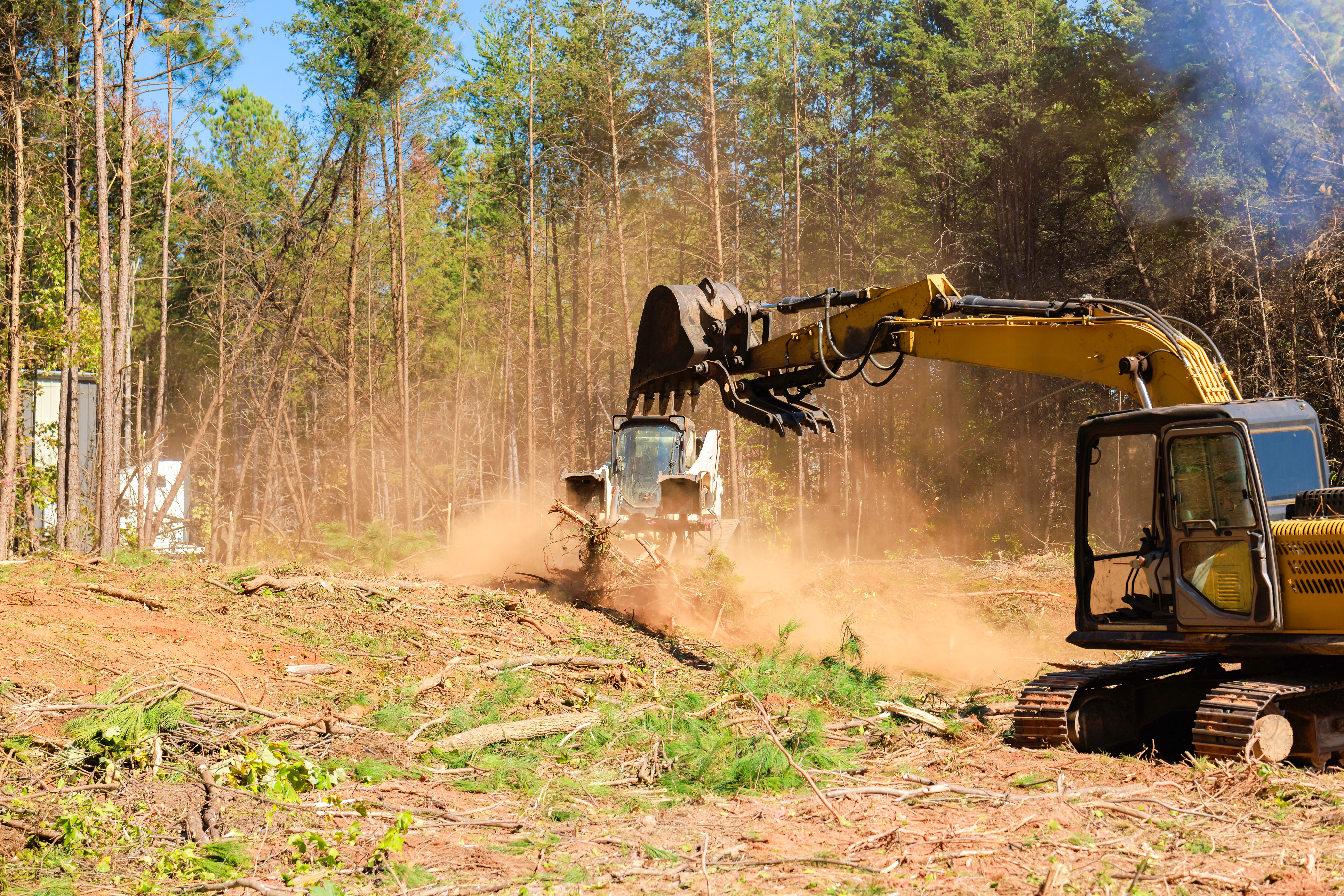 land clearing