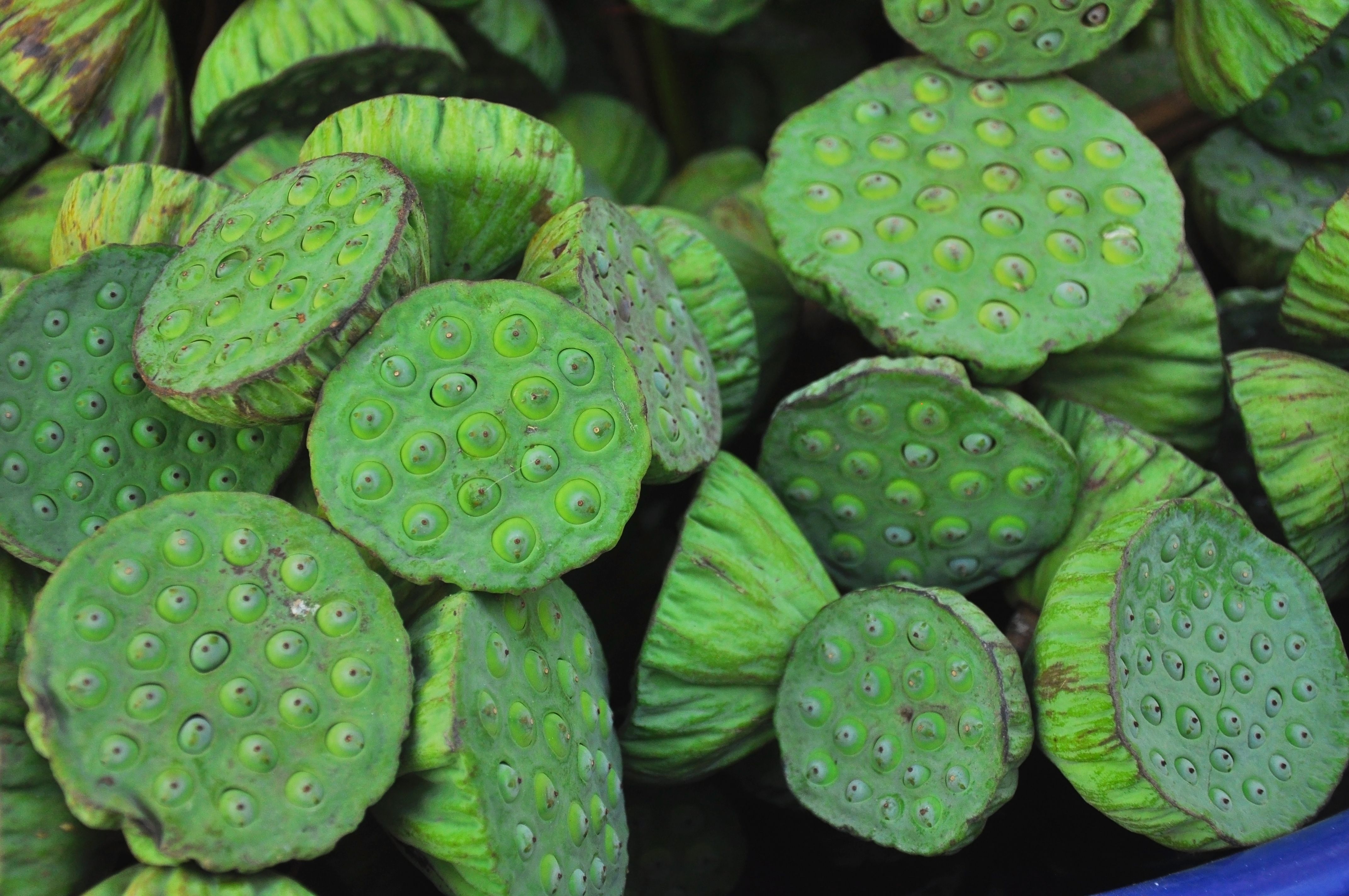pile of lotus seed for sale in local market