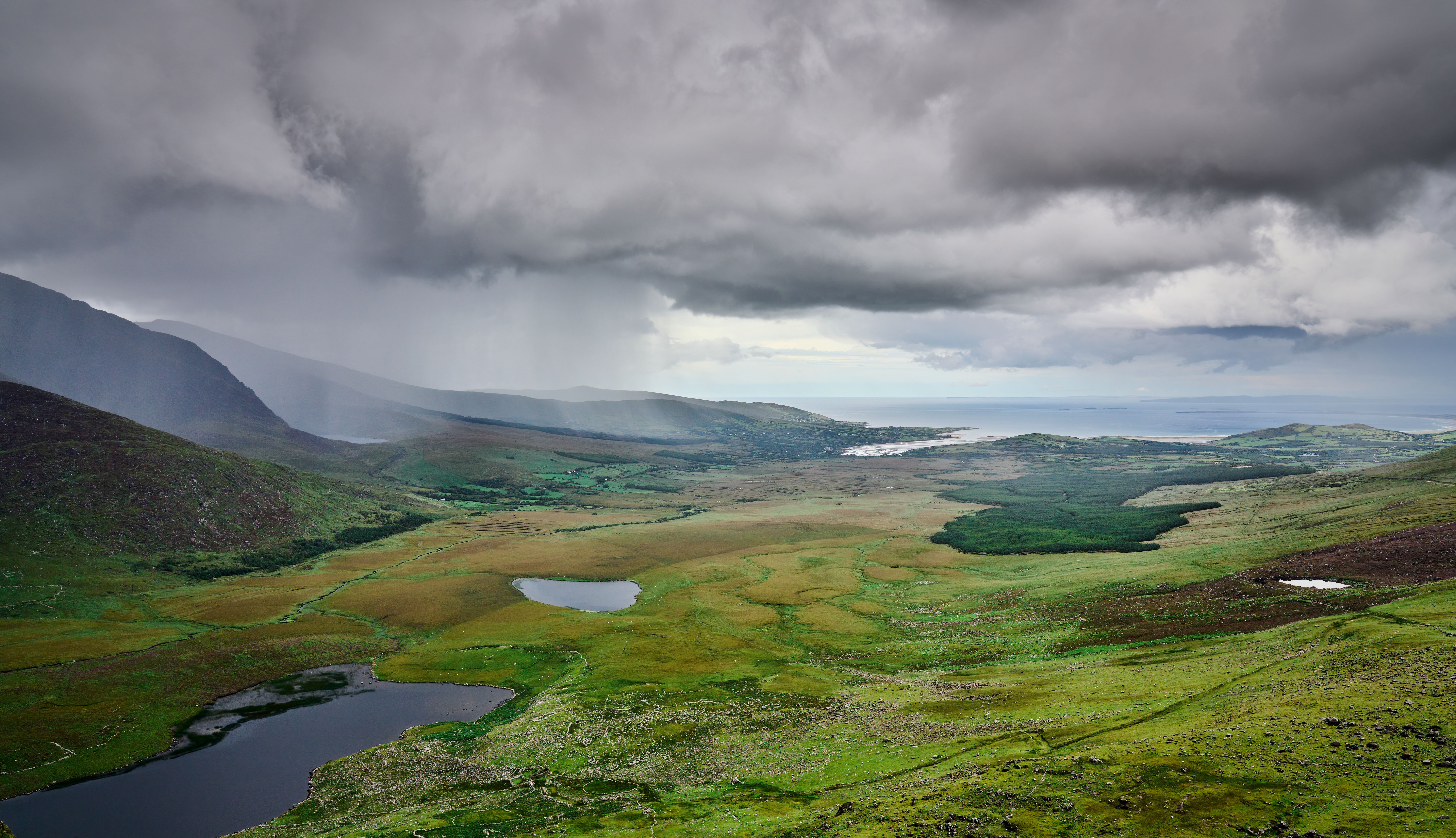 Bog and heather landscape in Conemara, Ireland