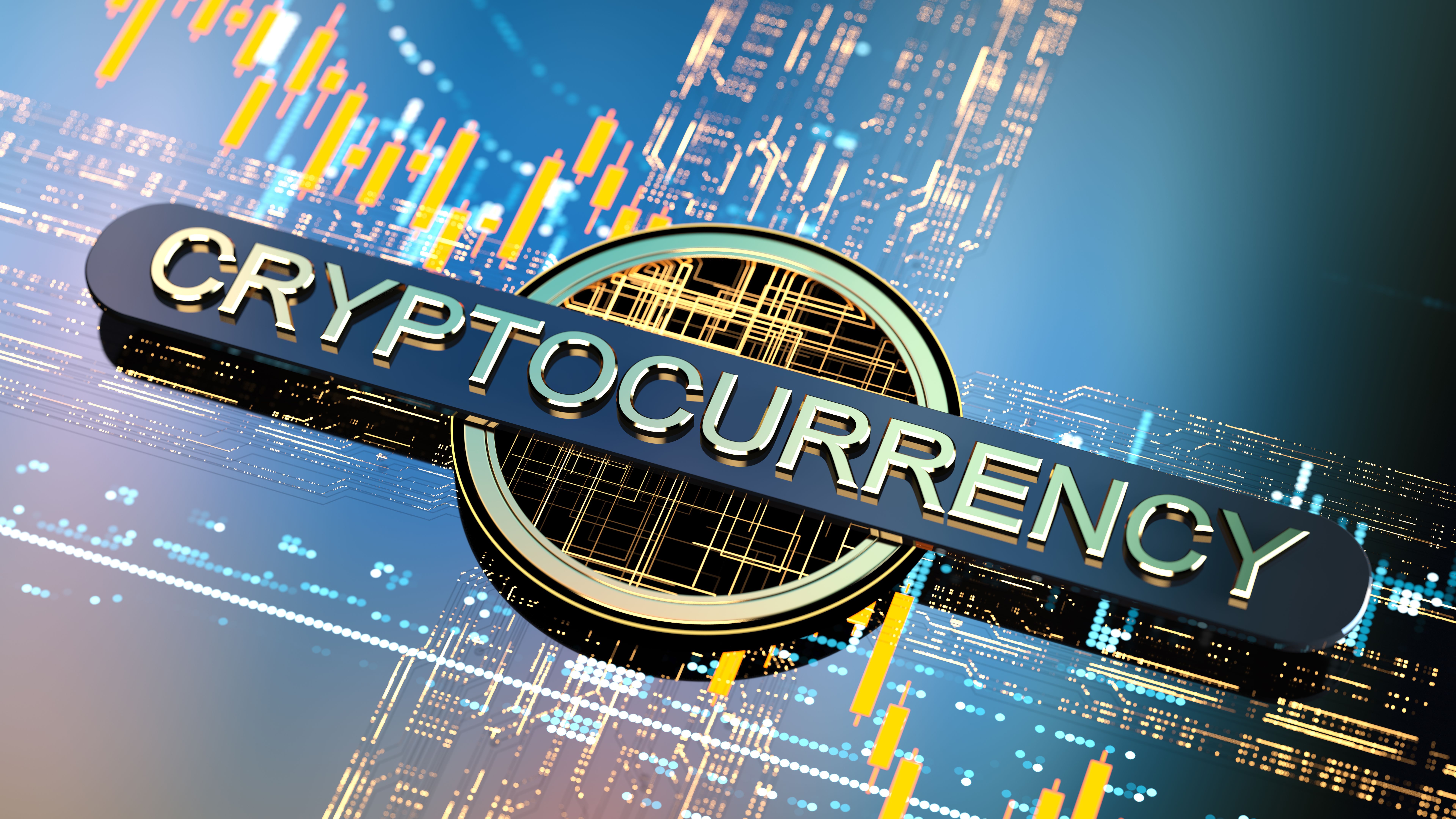 crypto beginners guide