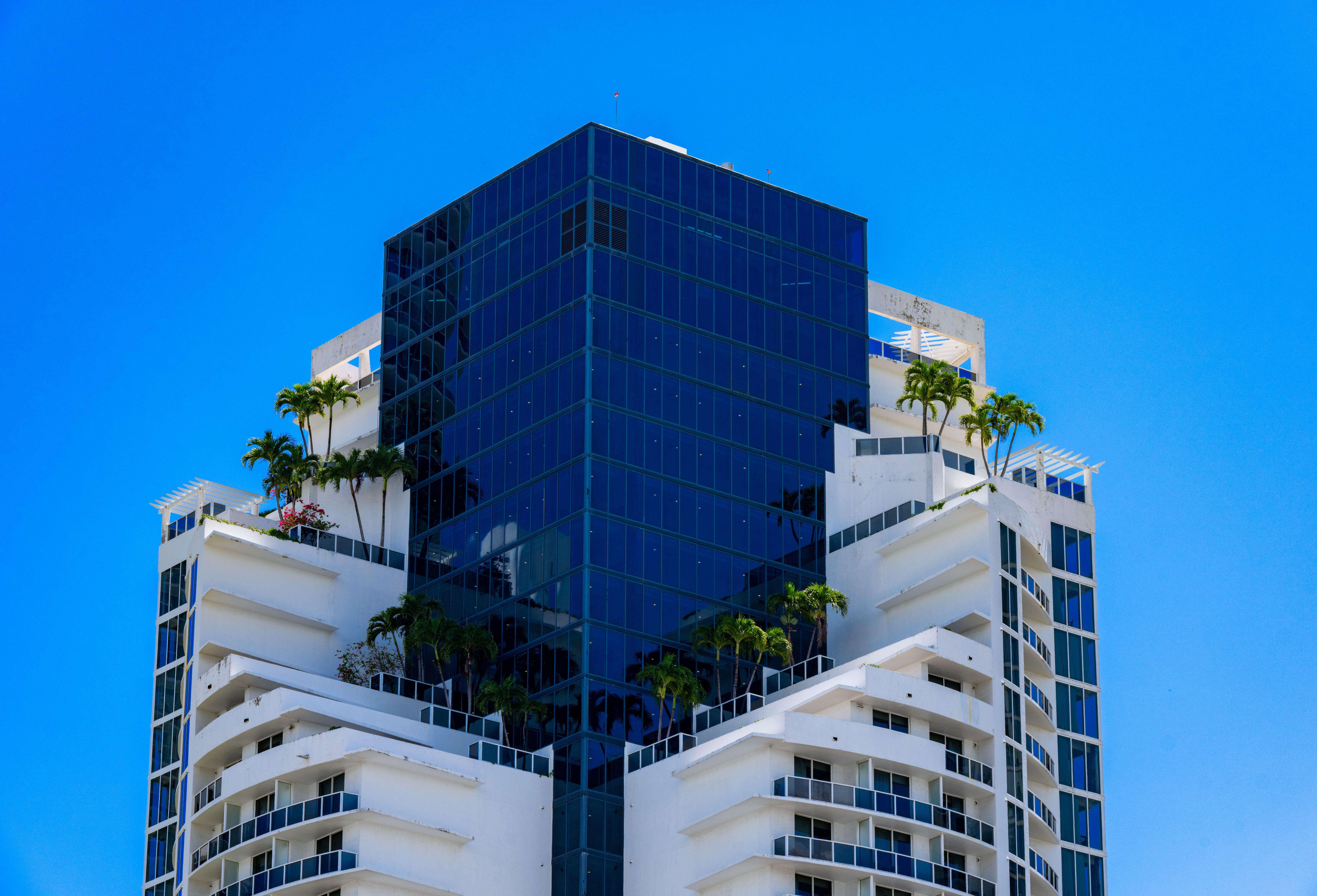 Miami Window Back Comparing Window Tinting Laws in Miami and Surrounding Areas