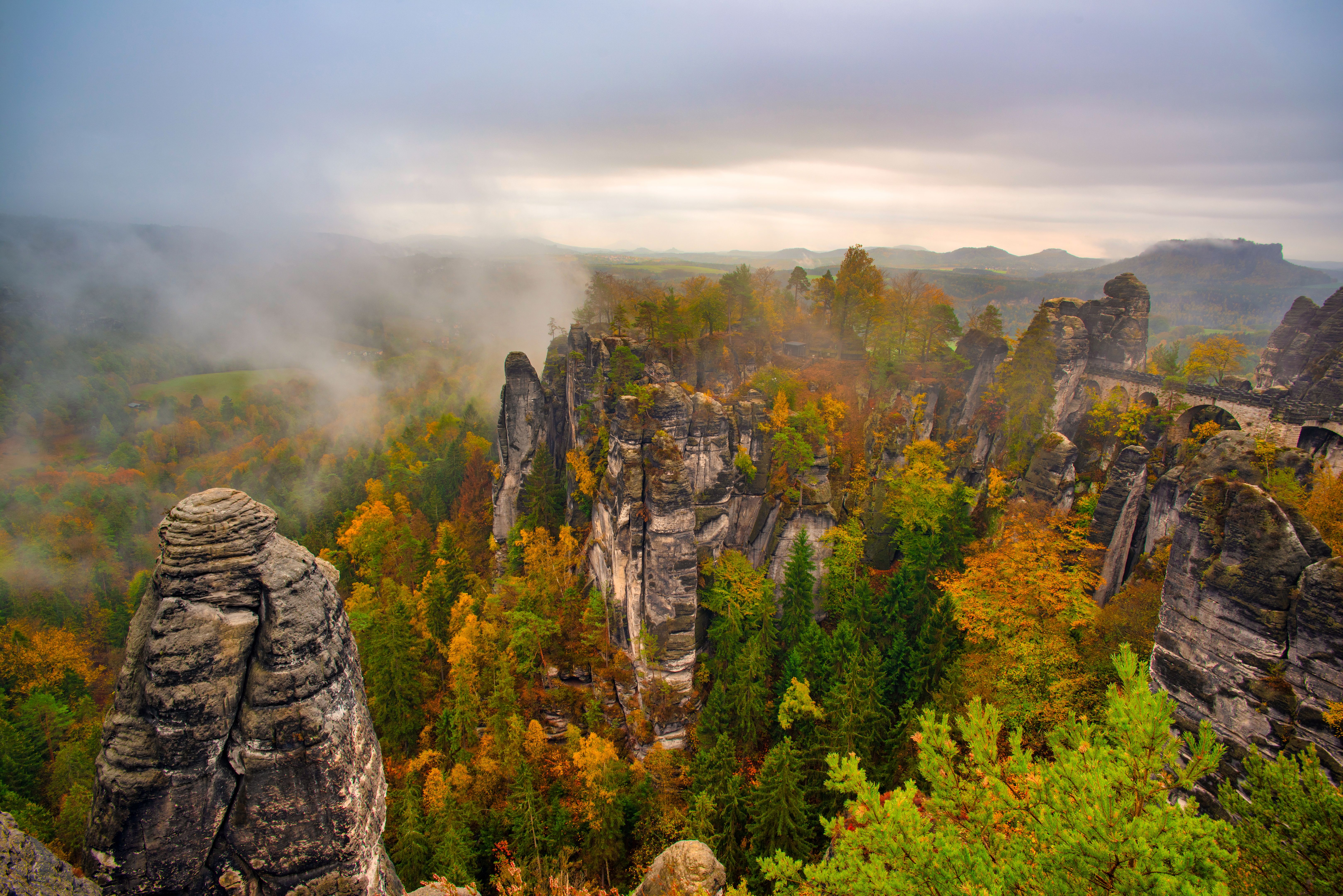 Germany national park autumn