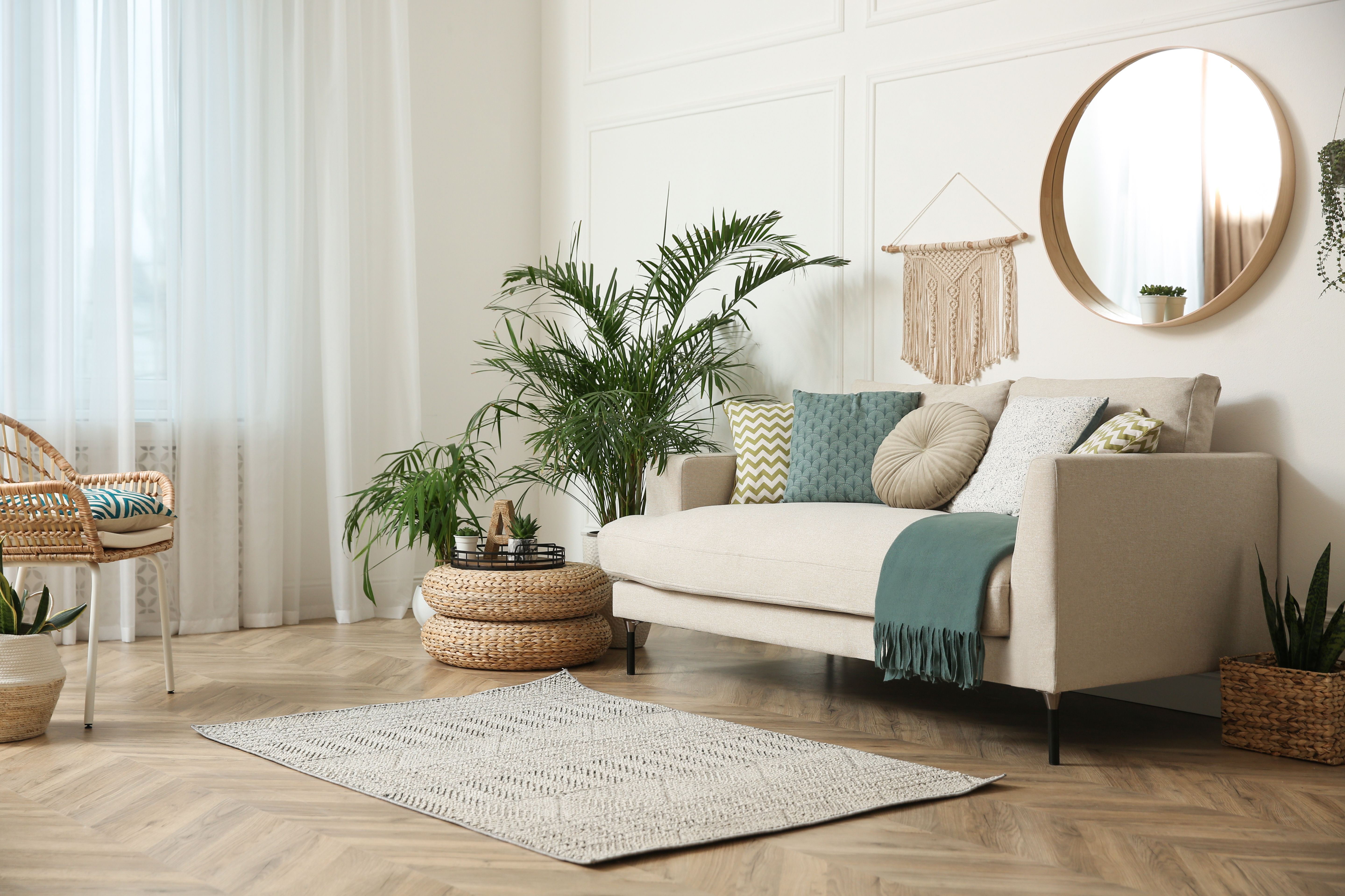 living room plants