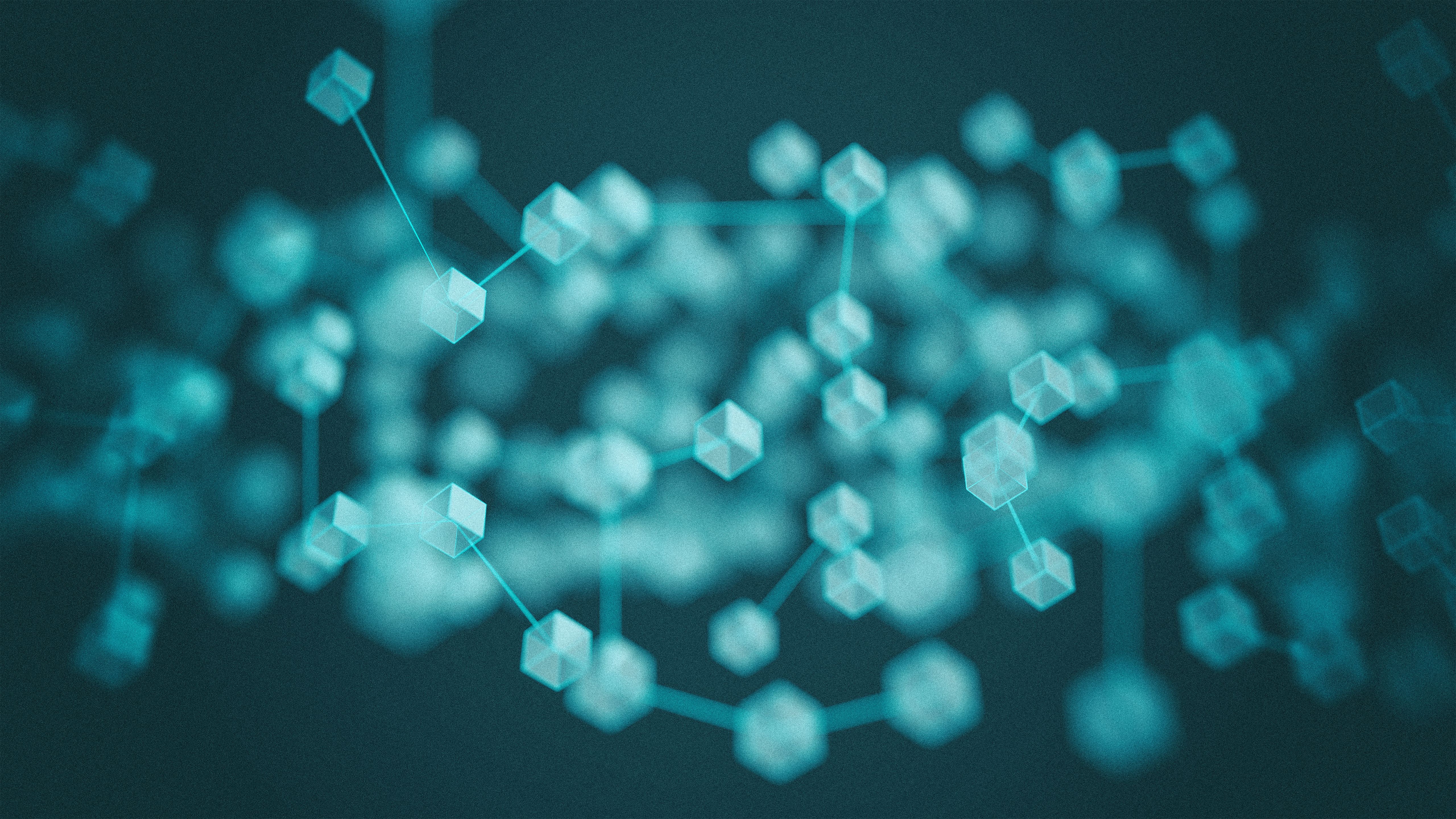 blockchain network