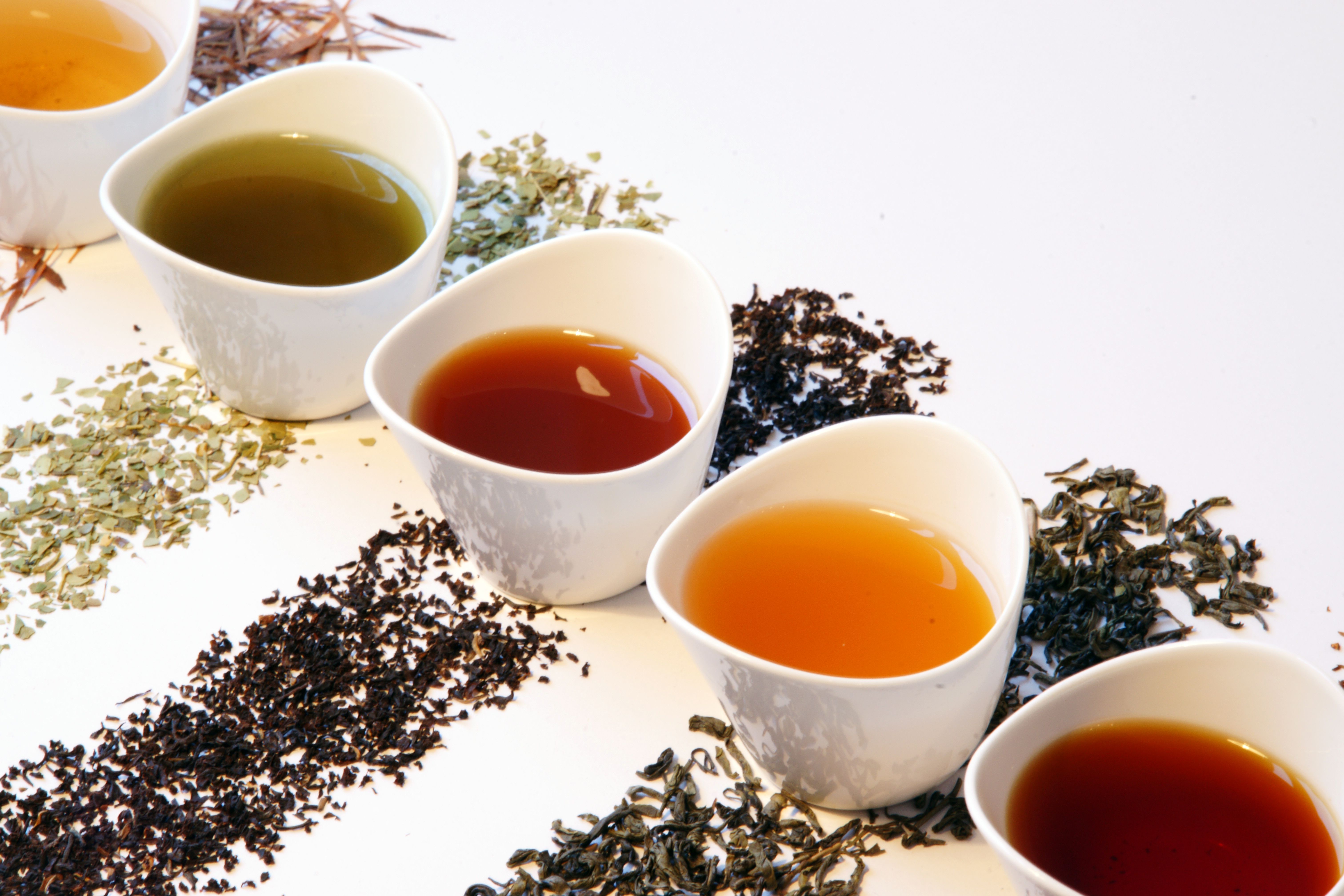 tea tasting