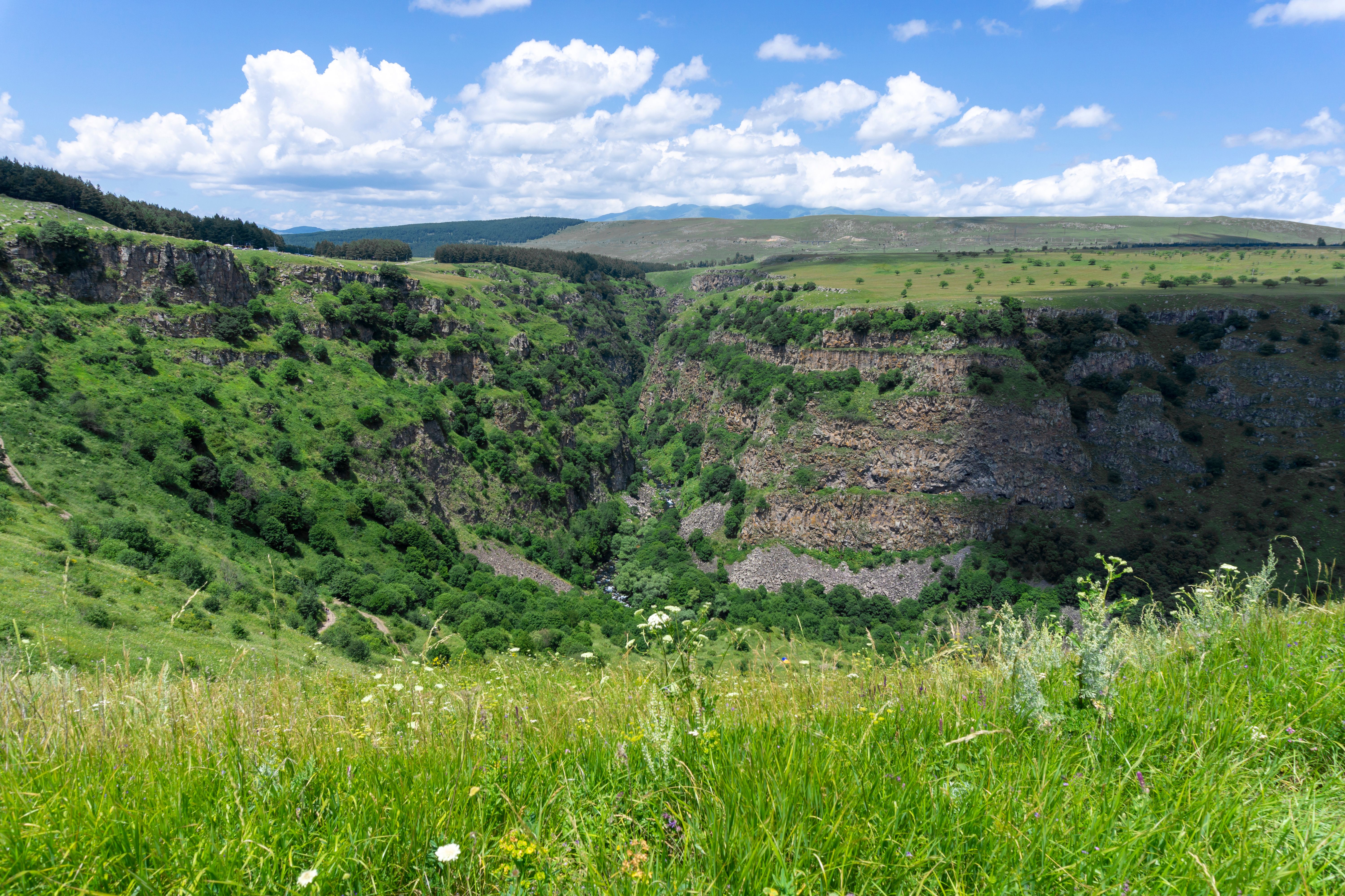 Green meadow on the edge of a cliff. Blue sky with clouds above the horizon. Tsalka canyon, Georgia