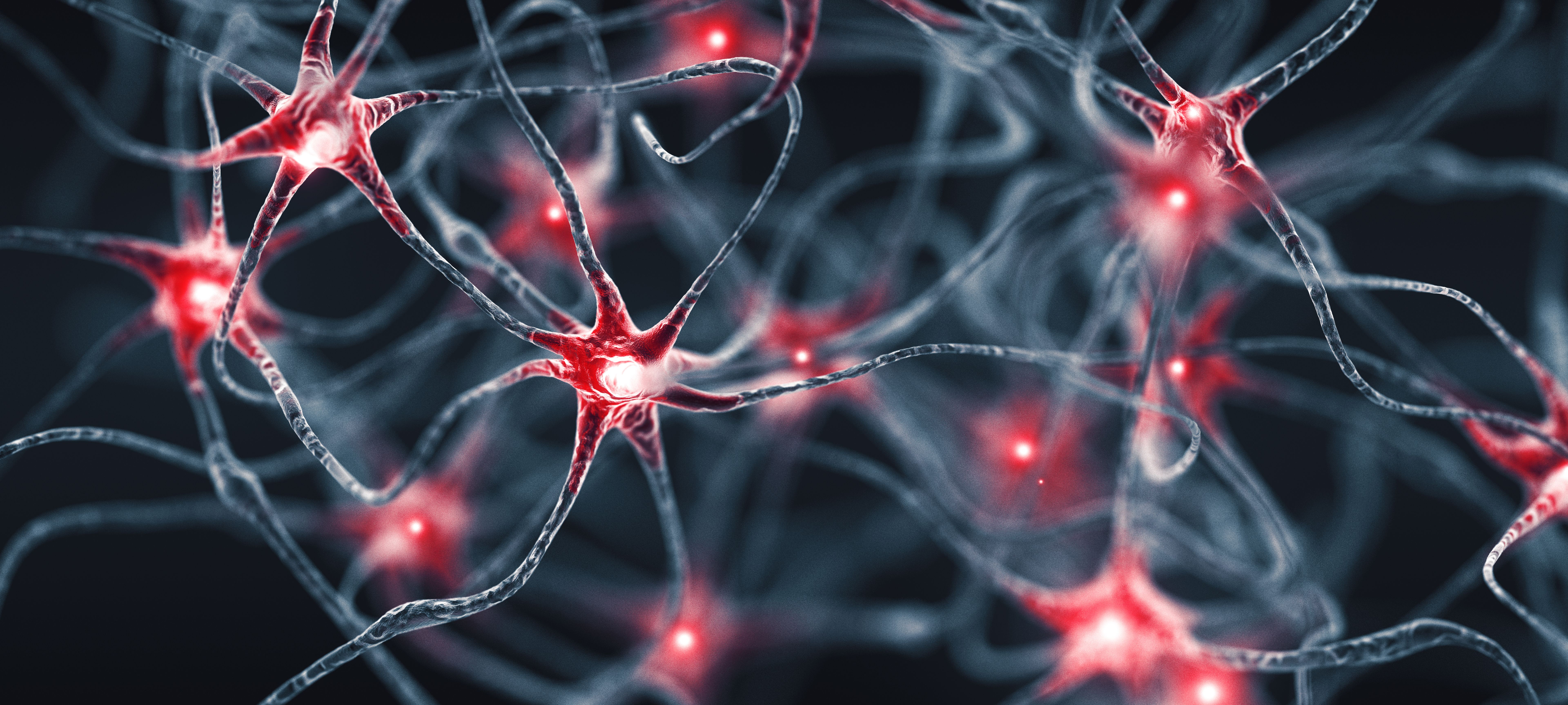 Neurons. Abstract Concept. Wide Red Neurons. Abstract Concept. Wide Red