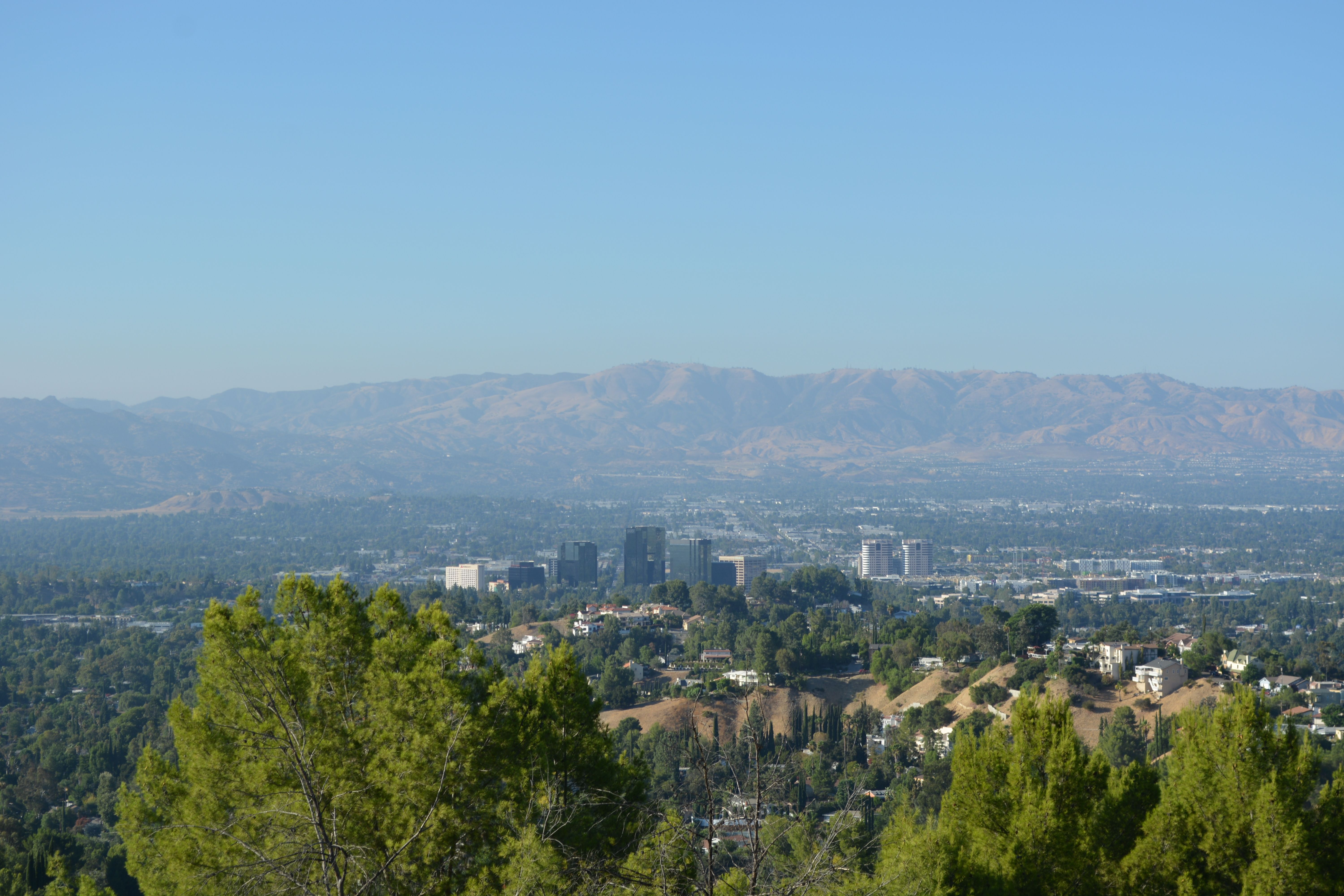 business meeting Woodland Hills