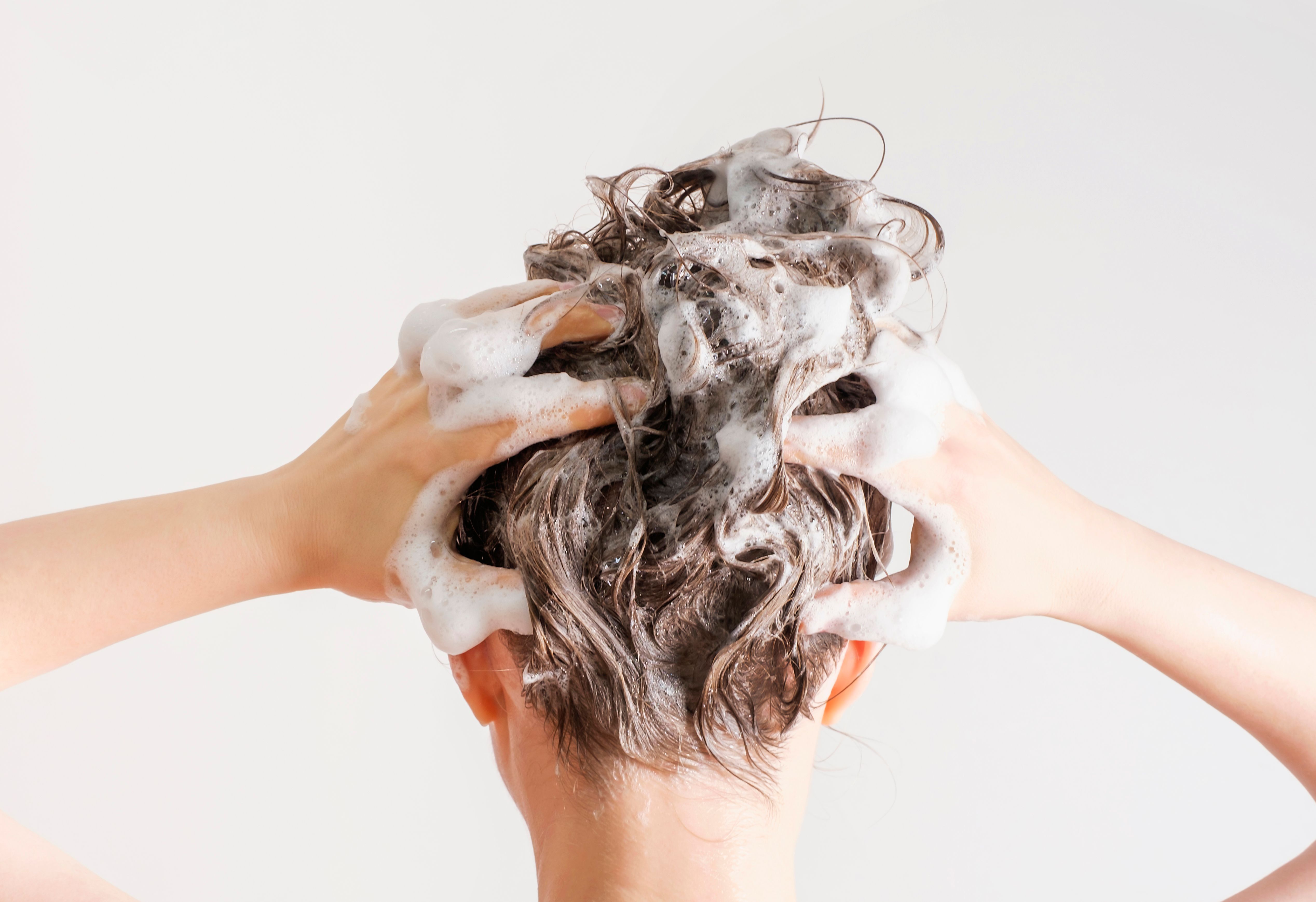 shampoo lather