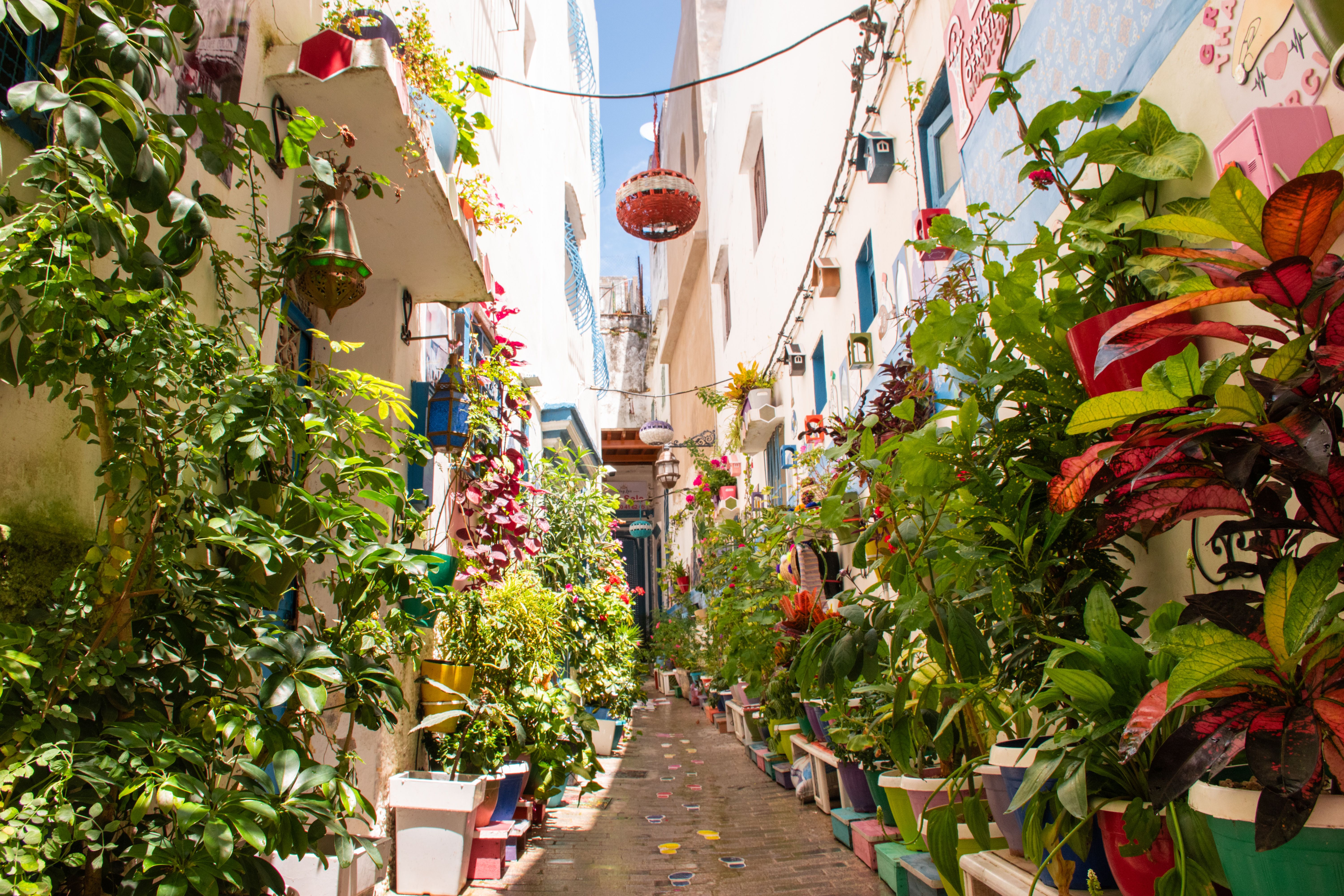 tangier streets
