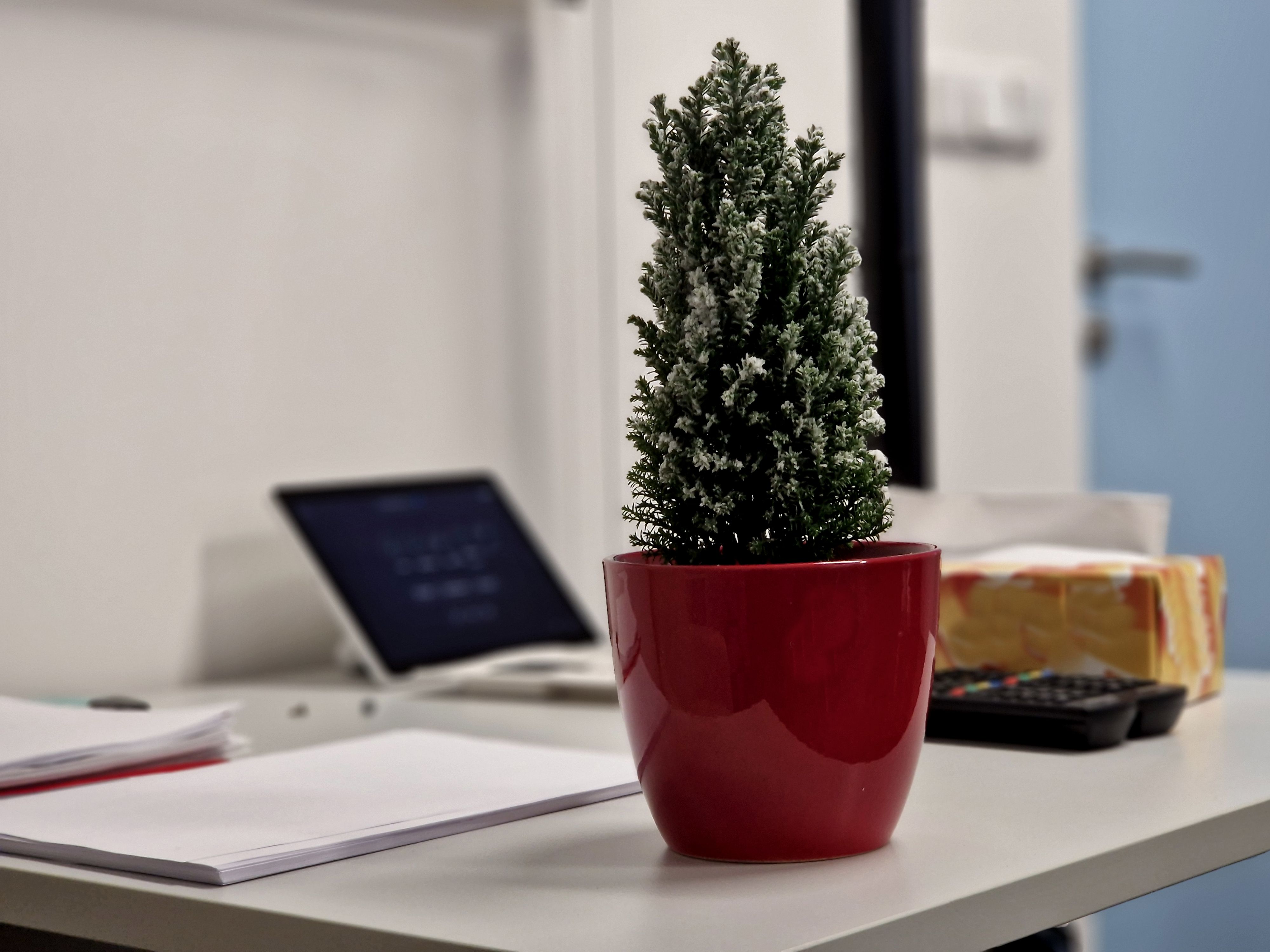 office plants benefits