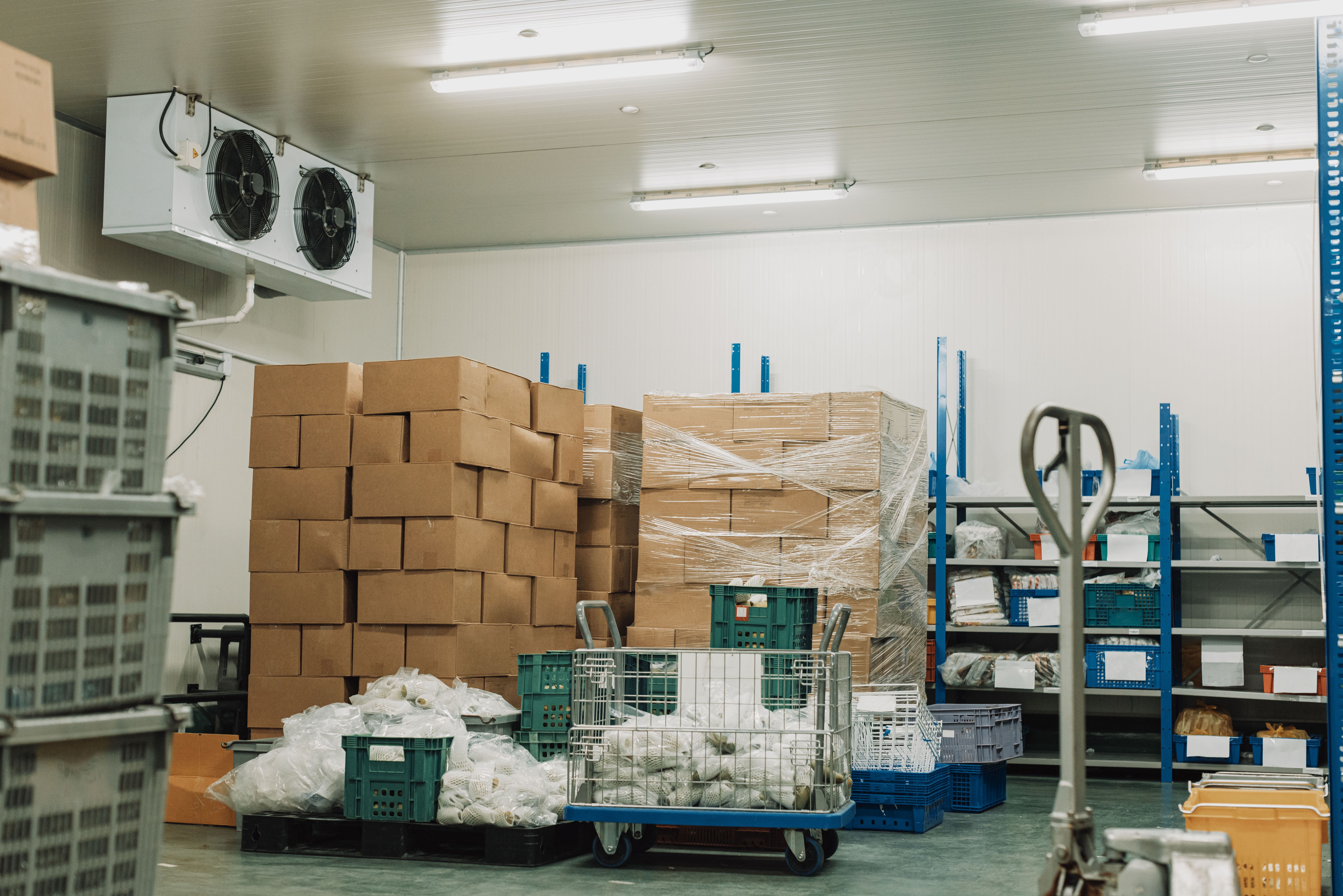 cold chain logistics