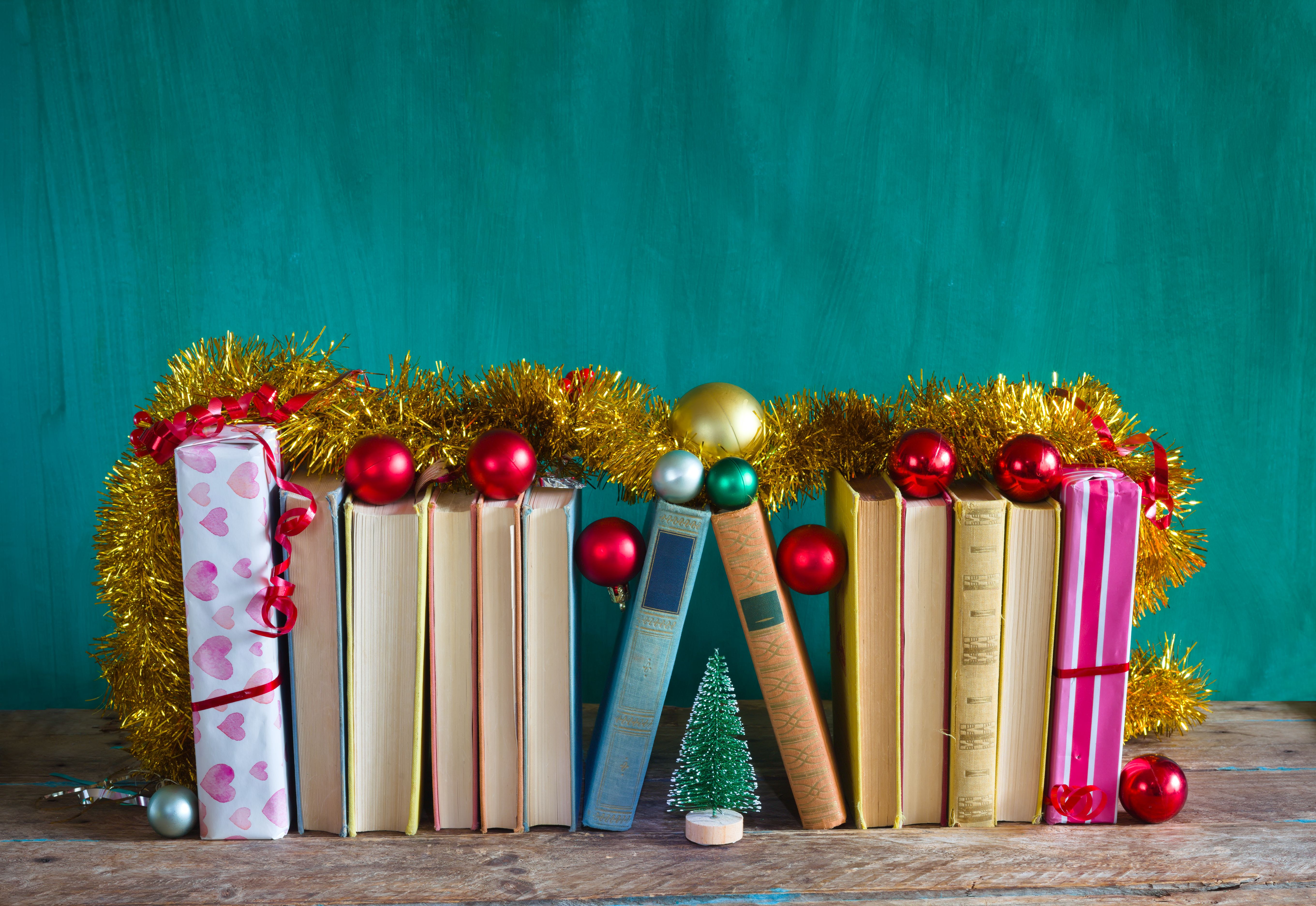 professional christmas lights