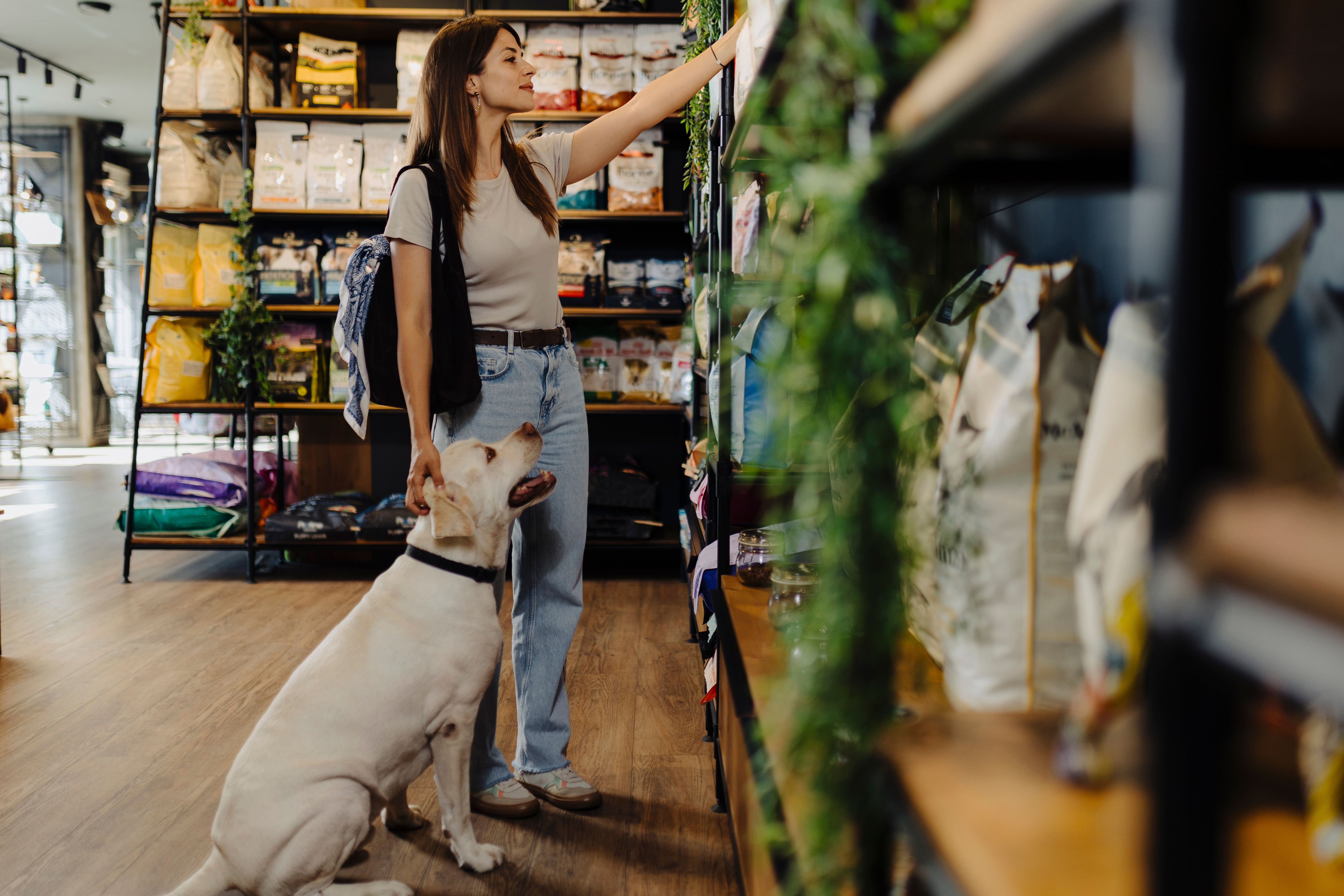 dog food supplements