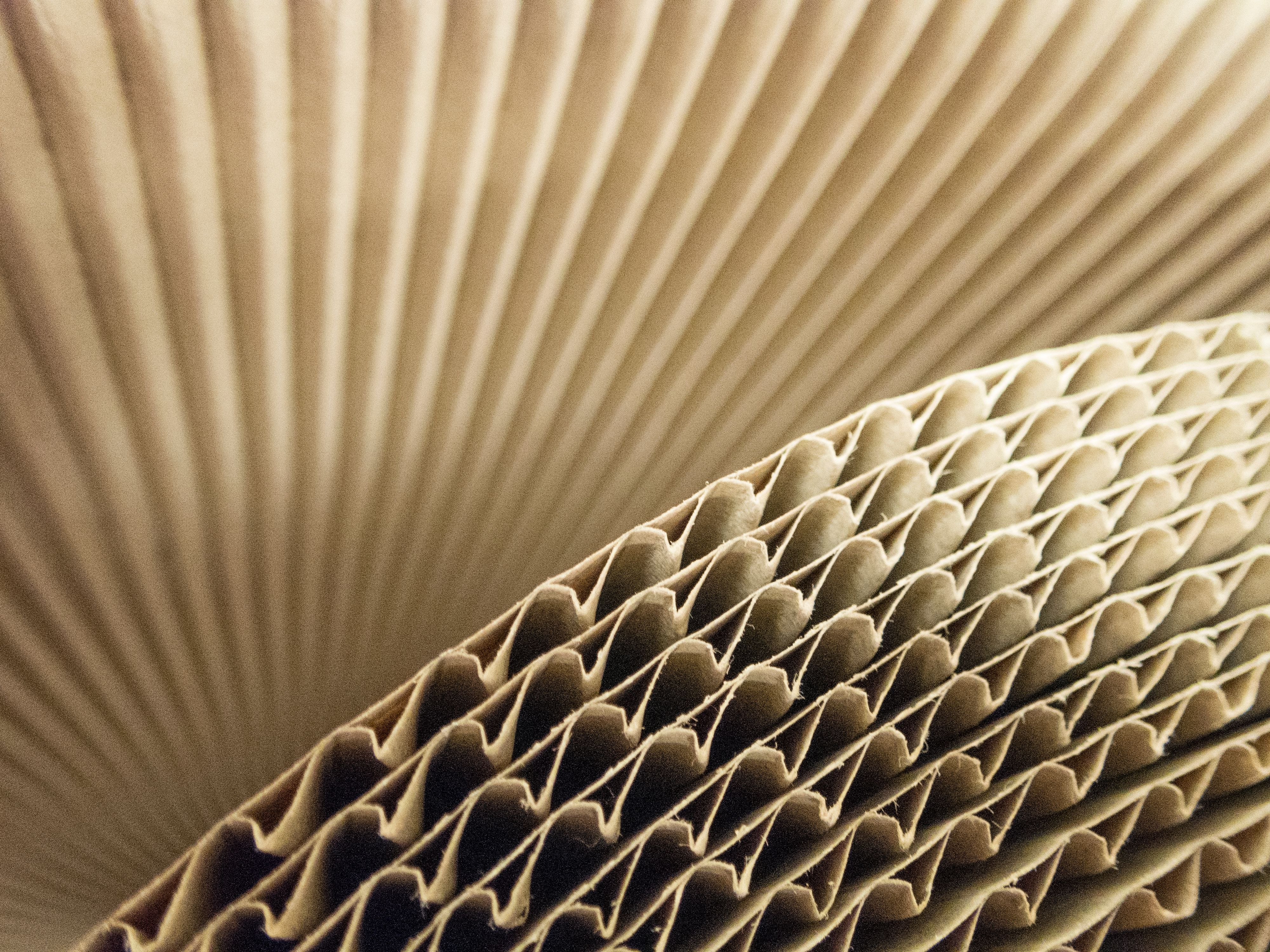 recyclable packaging