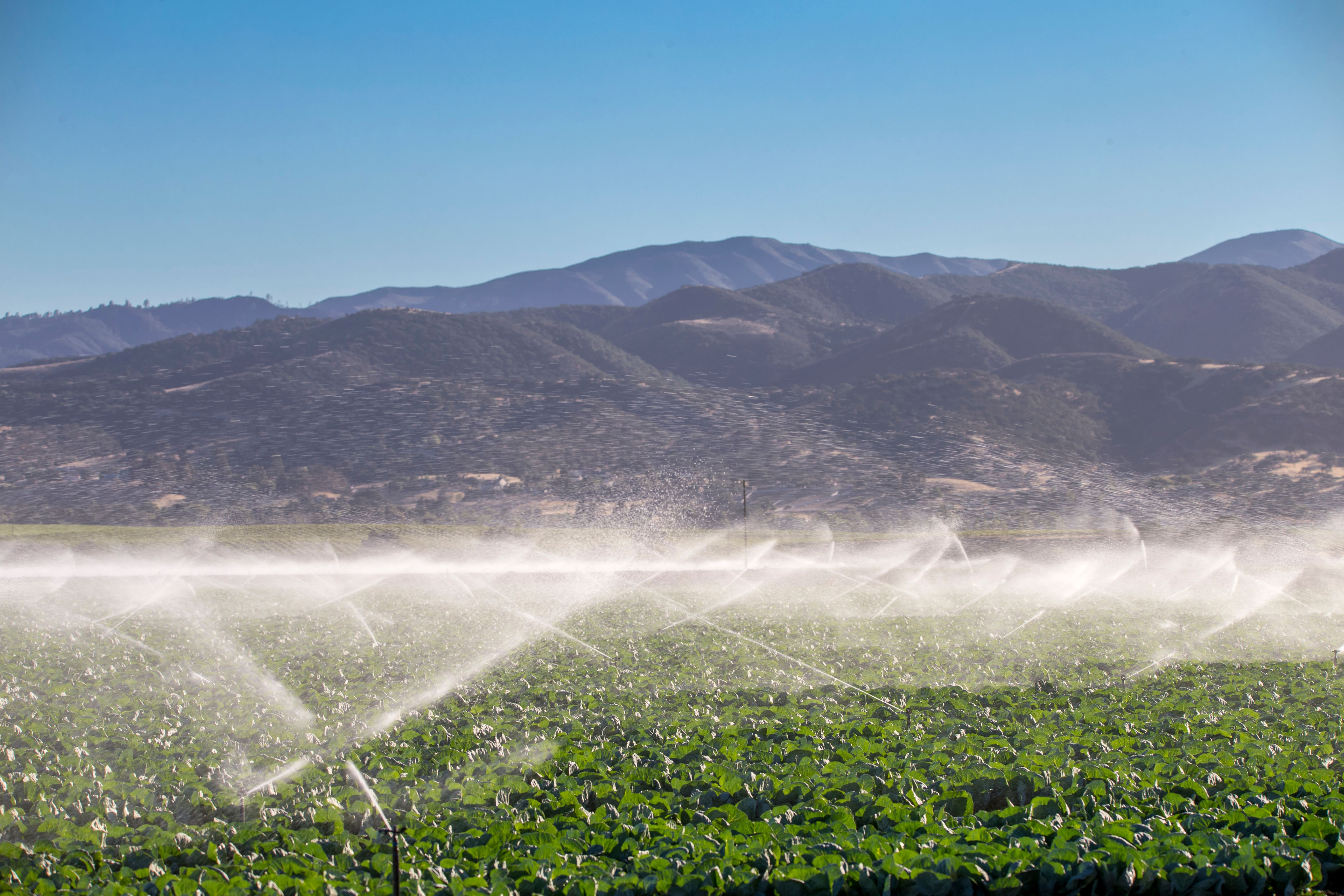 Irrigation of the farm land, King City, California Irrigation of the farm land, King City, California