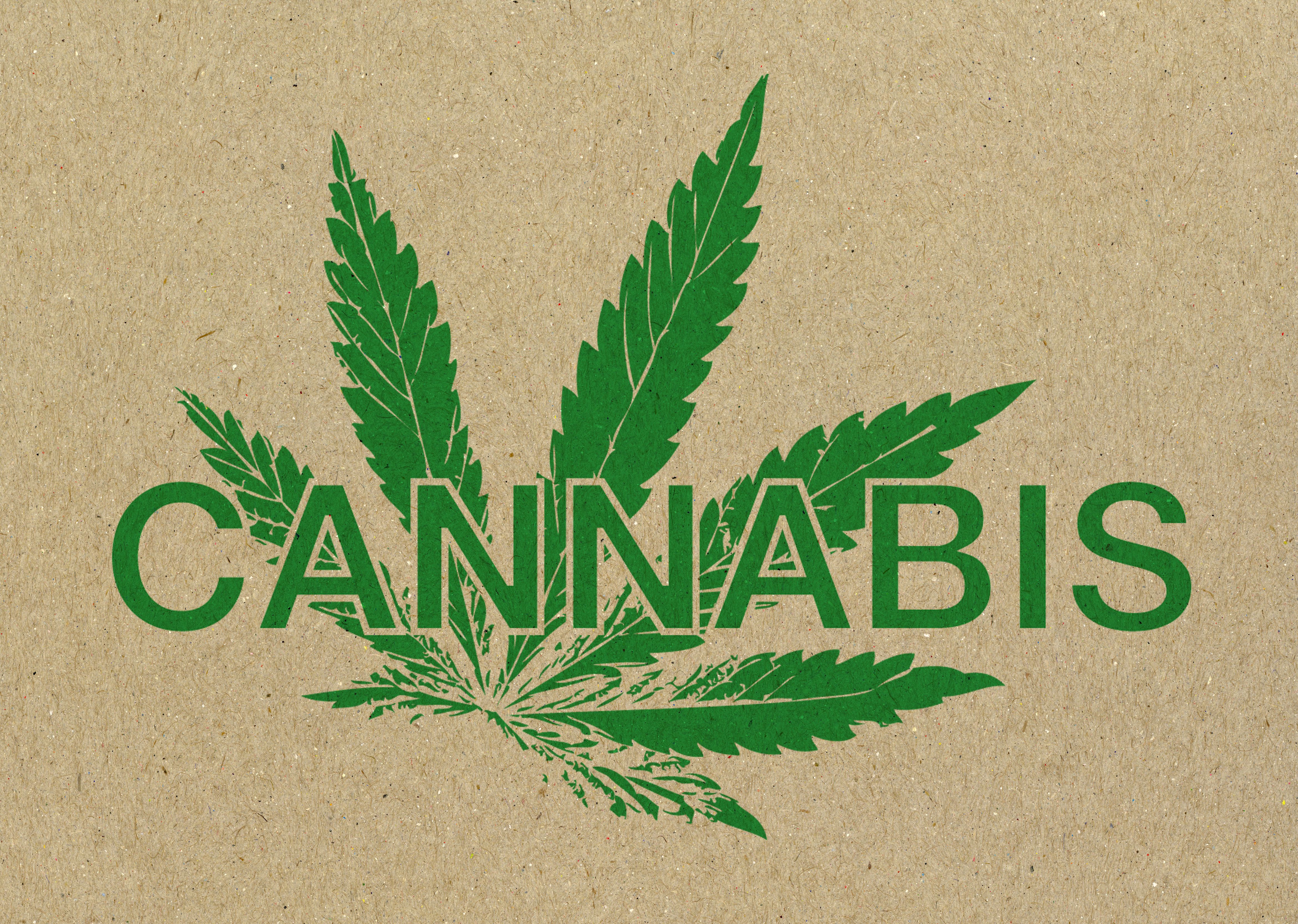 marijuana consultant