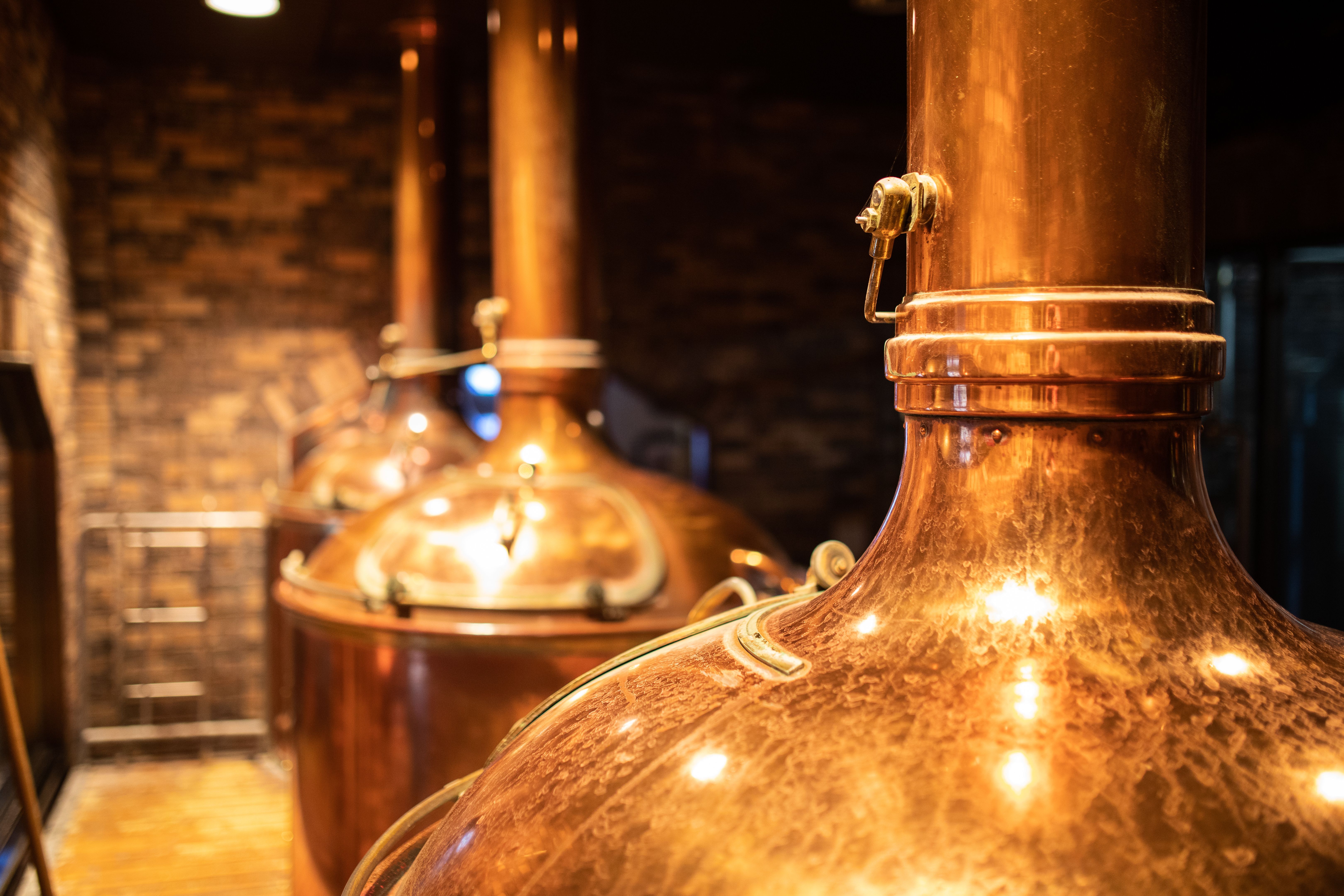 craft brewery